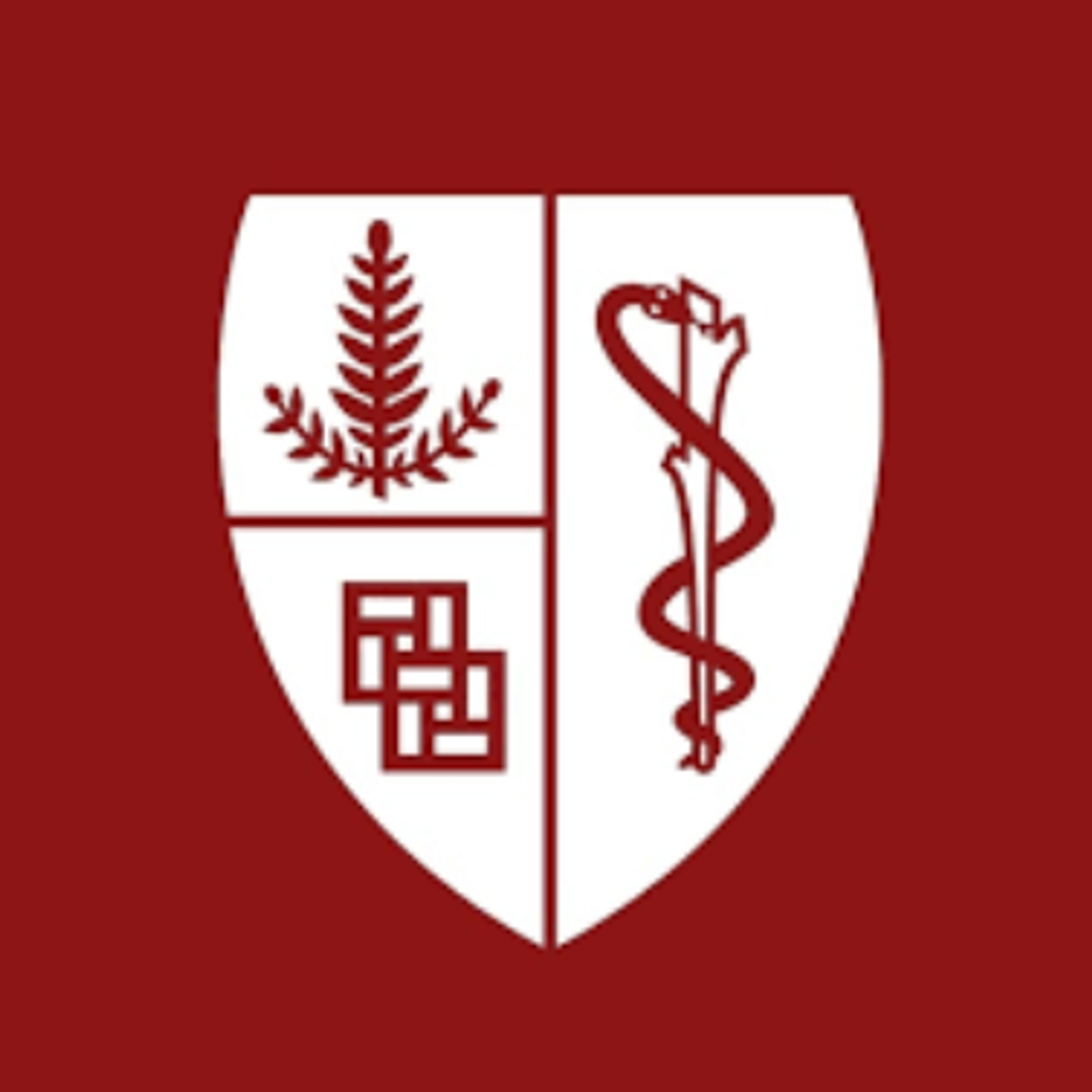 Stanford Medicine | AI in Healthcare