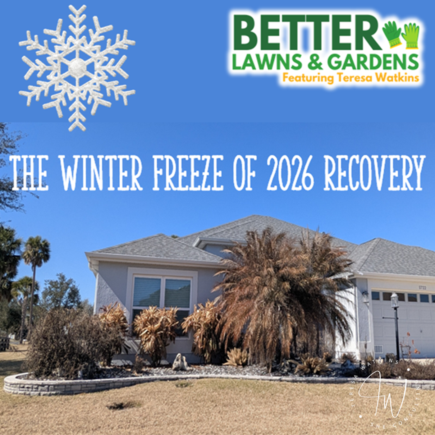 Better Lawns and Gardens - Hour 1 Winter Freeze Recovery Feb 7 2026