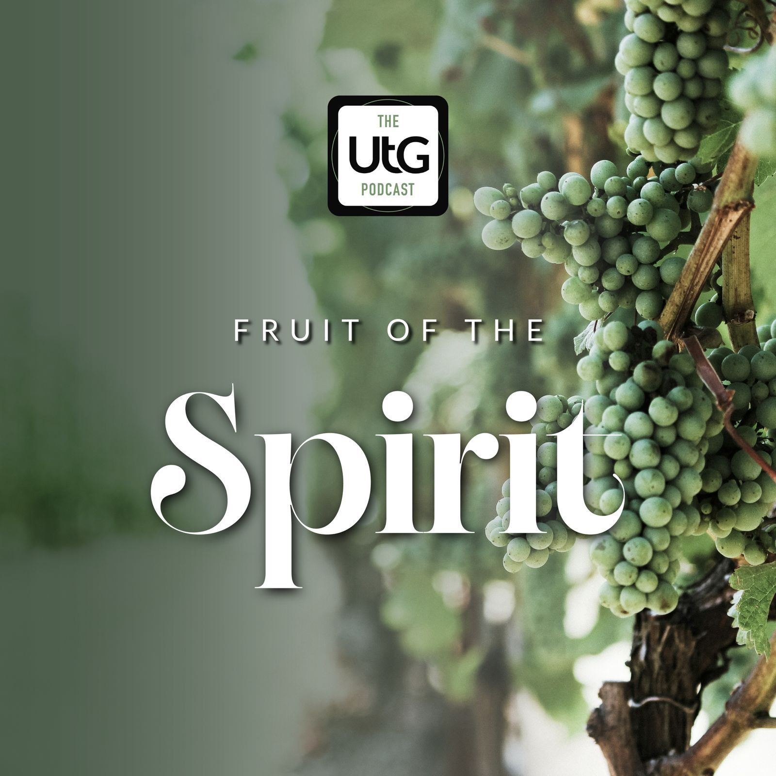 118: The Fruit of the Spirit: Manward Fruit