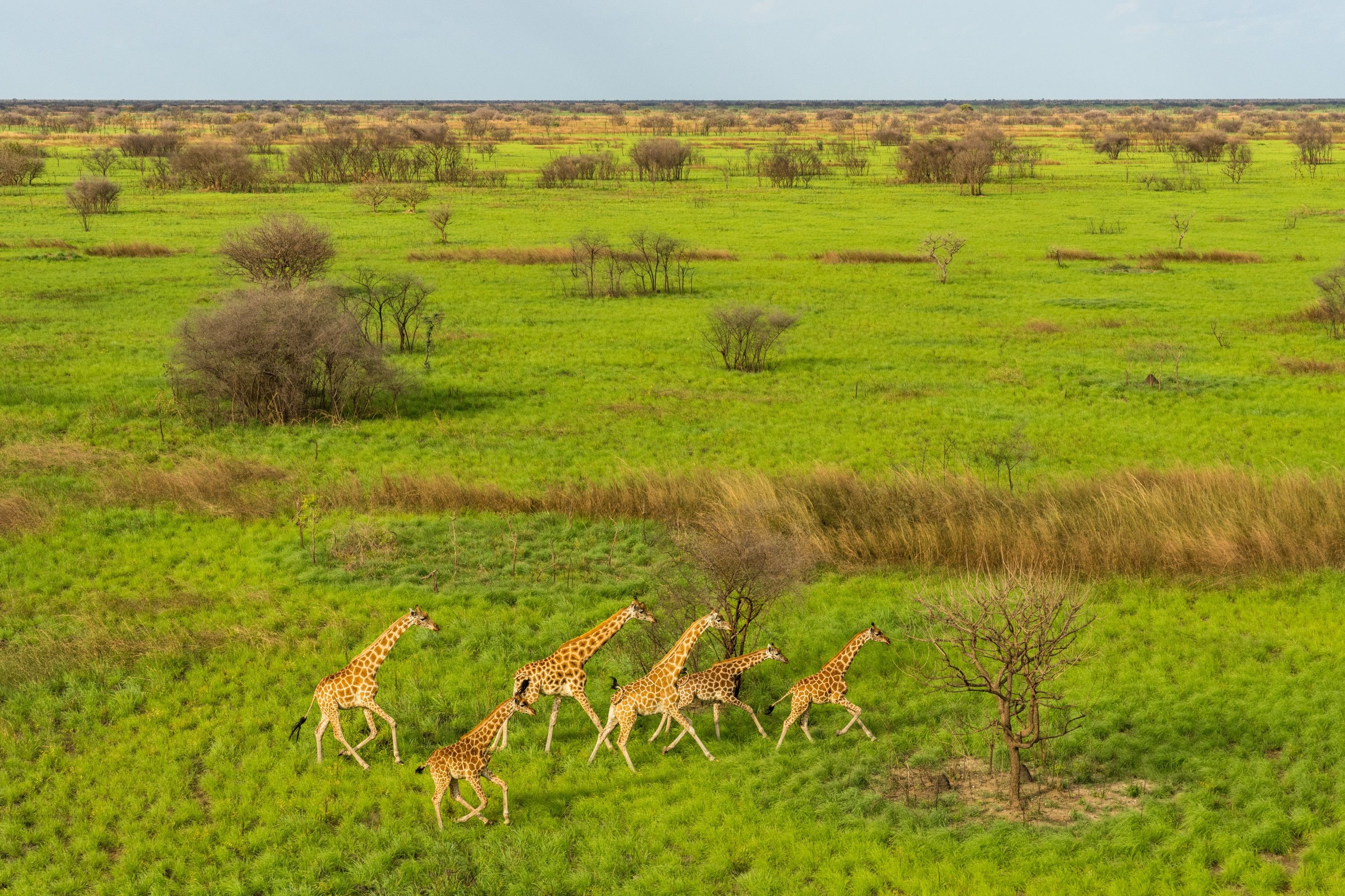 South Sudan Pushes for the Recognition of the Boma and Badingala Migratory Landscape as World Heritage