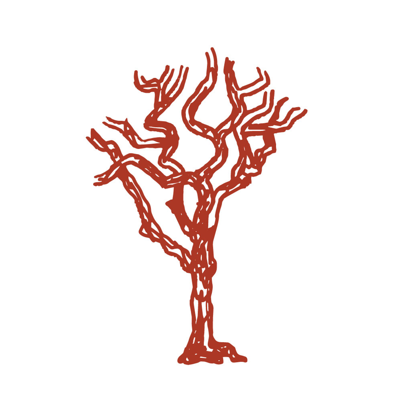 7: Angophora Arts Episode 7 with Letitia Davy episode artwork