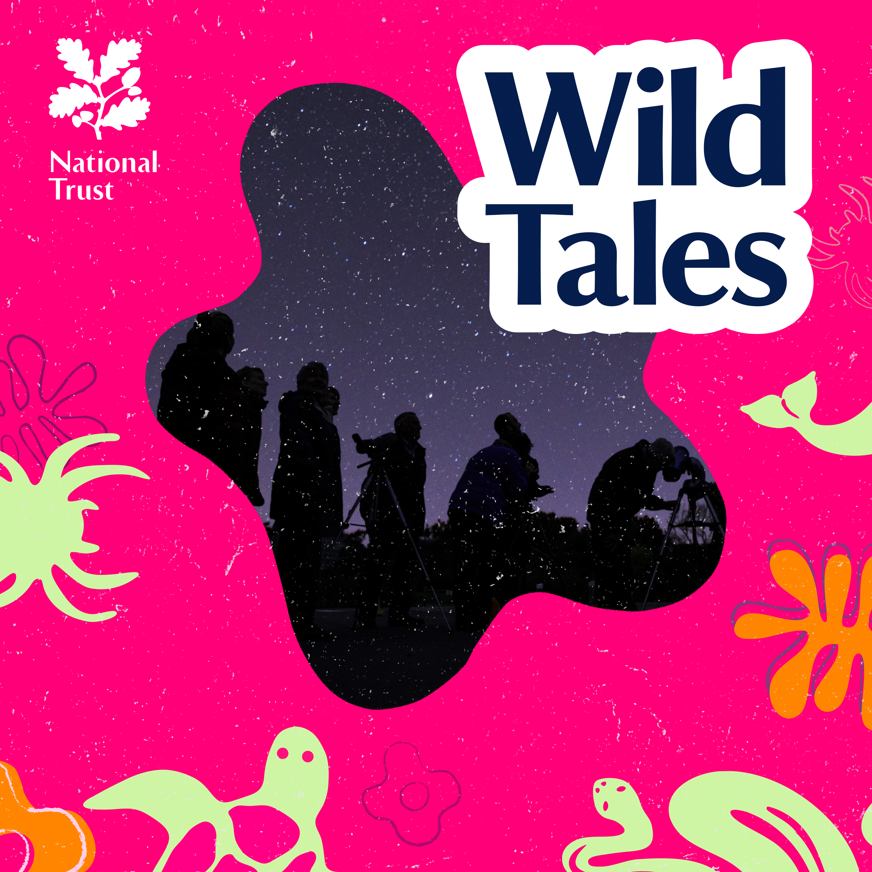 You Might Like: Nature Fix | Stargazing in the City