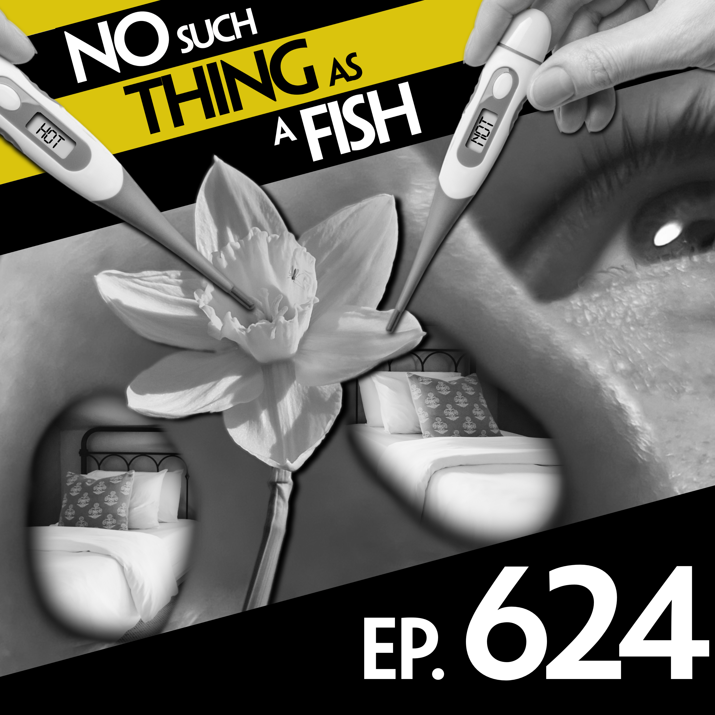 No Such Thing As A Hedgehog In A Lifeboat