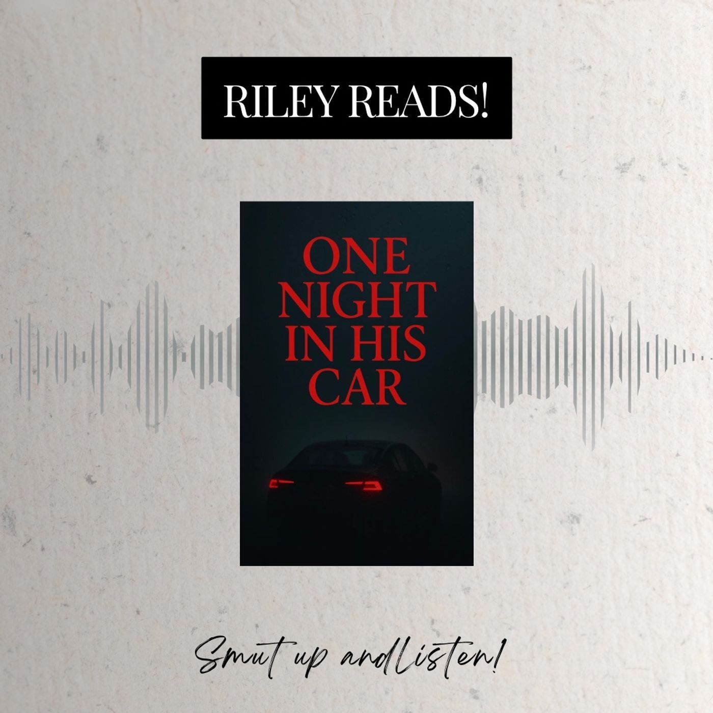 S4: RILEY READS: One Night In His Car by Kora Nova