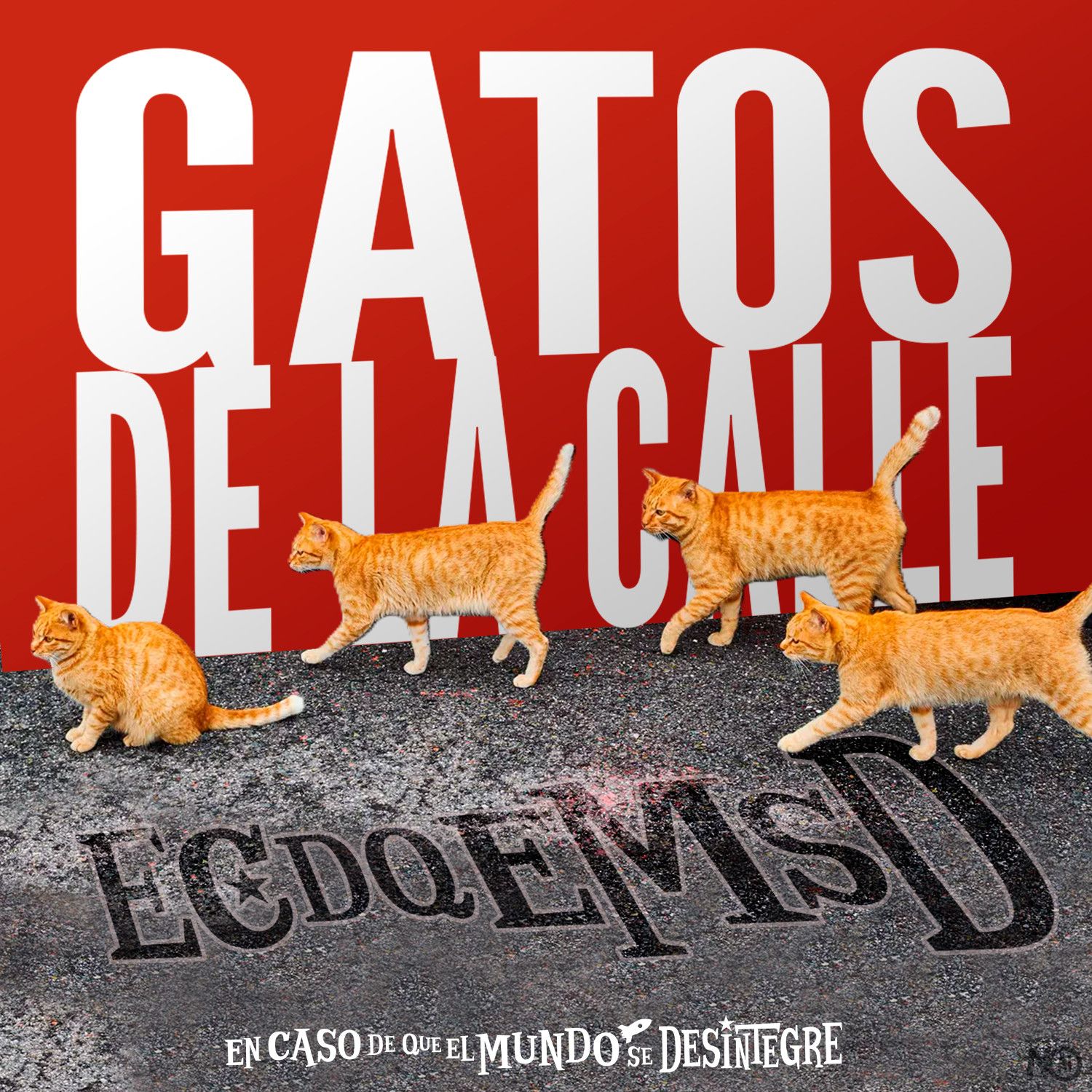 S28 Ep6255: Gatos de la Calle