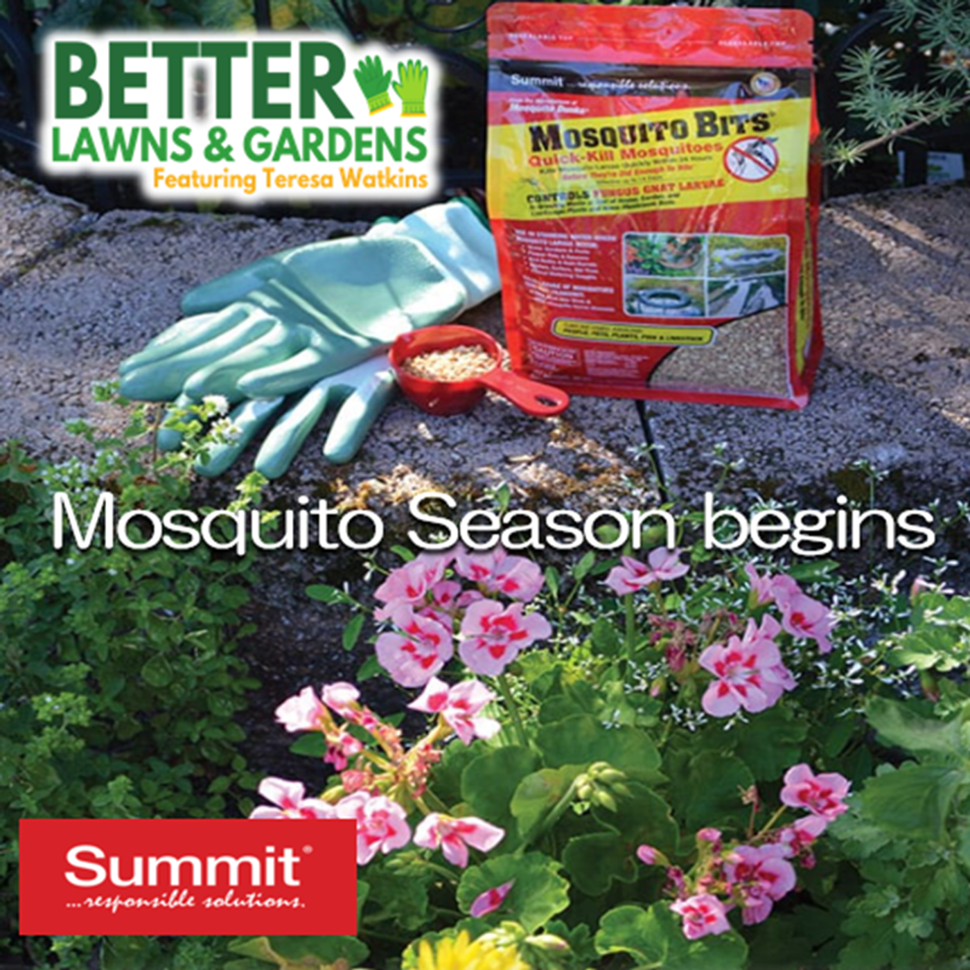 Better Lawns and Gardens - Hour 2 Mosquito Season Begins March 6, 2026