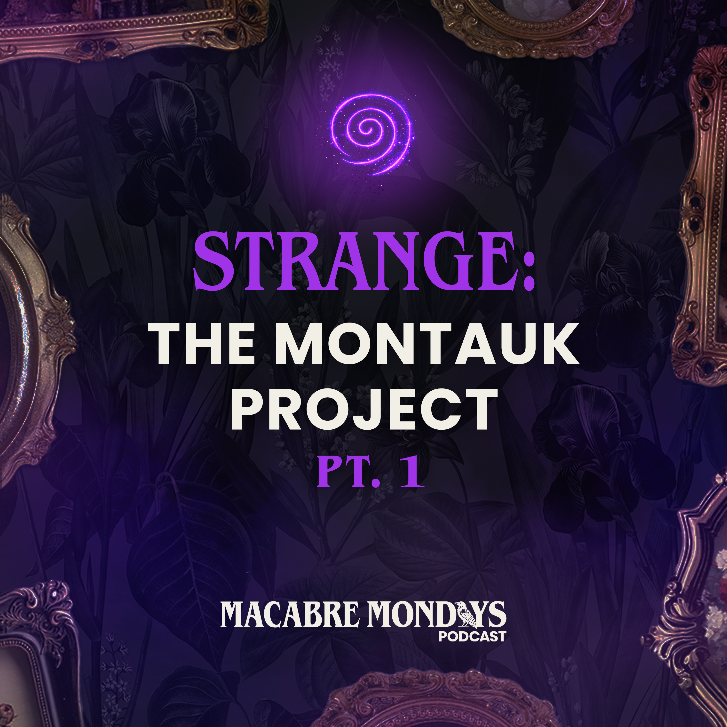 The Montauk Project: Secret Government Experiments at Camp Hero / Pt. 1 episode artwork