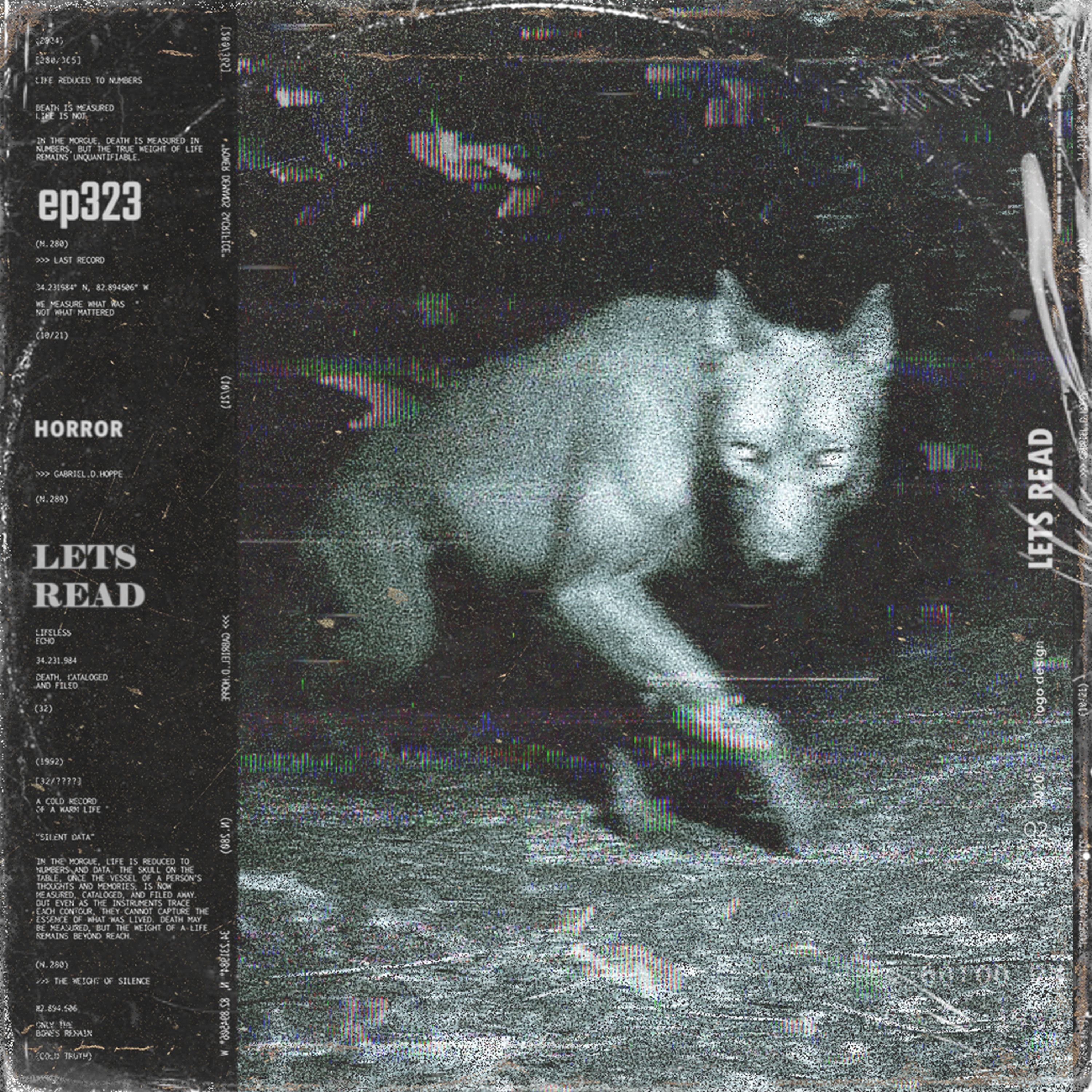 338: SOMETHING WAS STALKING ME THROUGH THE WOODS | 10 TERRIFYING True Scary Stories / Rain Ambience | EP 323