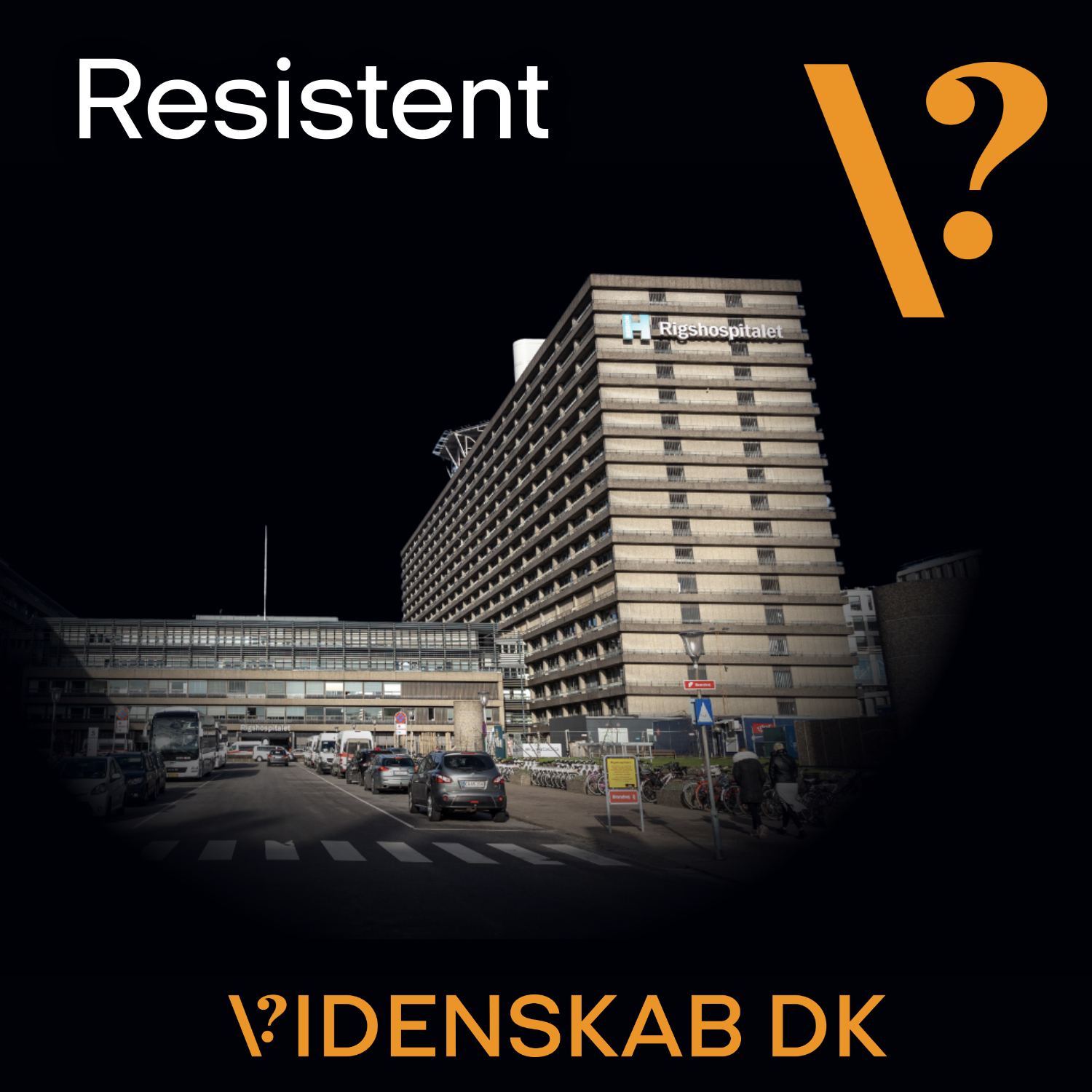 S1 Ep3: Resistente bakterier på hospitalet – og hvorfor det betyder noget