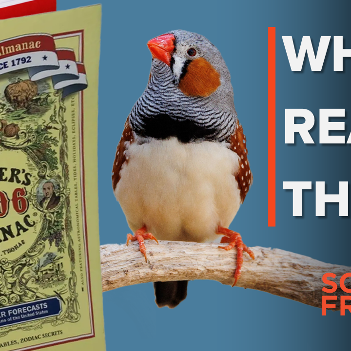 1257: Who uses Farmers’ Almanacs? + Zebra finch home design episode artwork