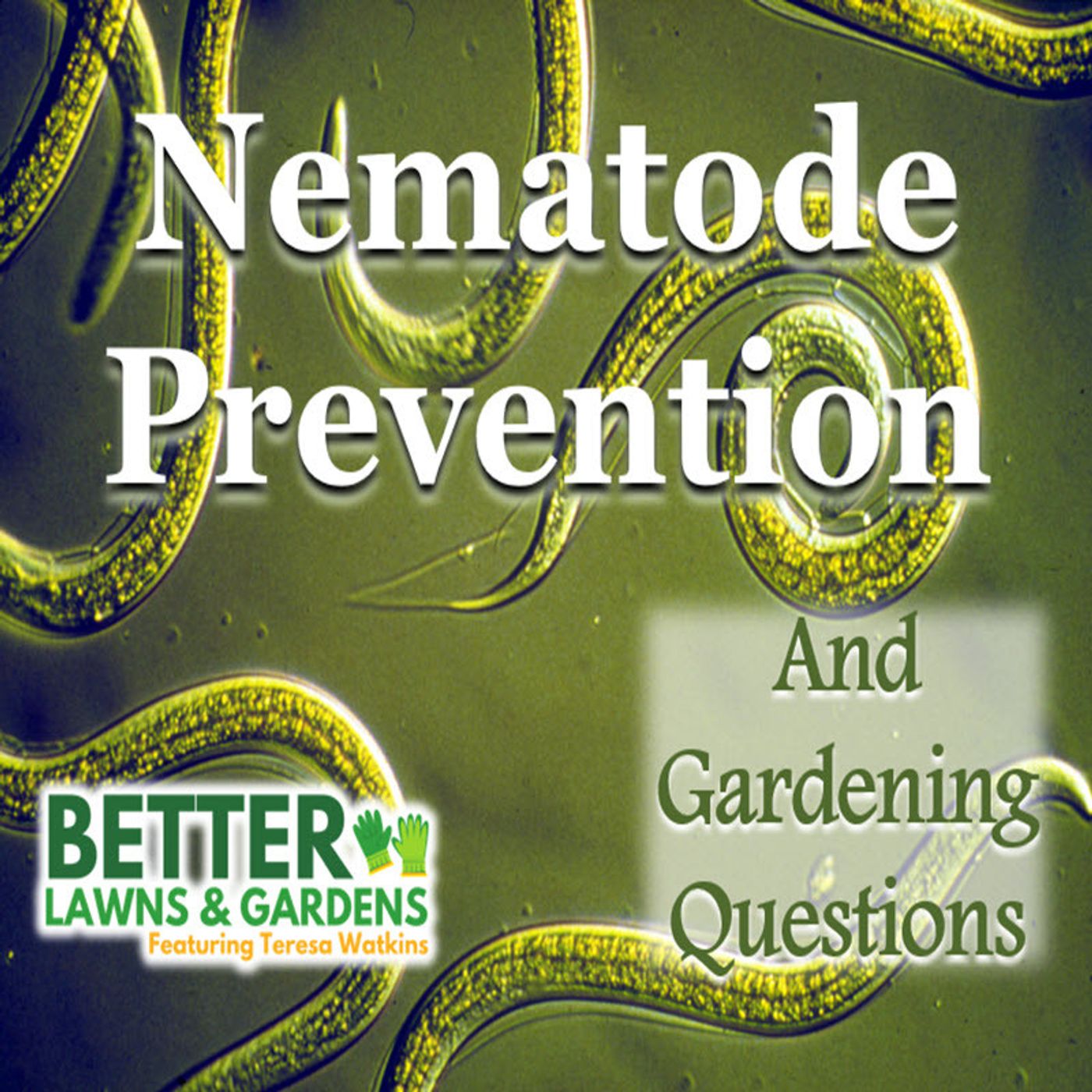 Better Lawns and Gardens - Hour 1 Nematode Prevention March 21, 2026