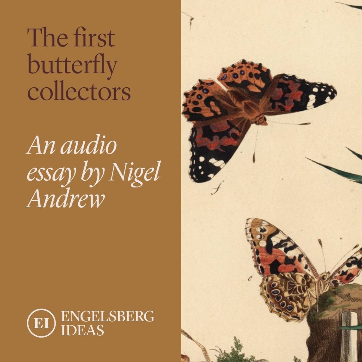 The first butterfly collectors