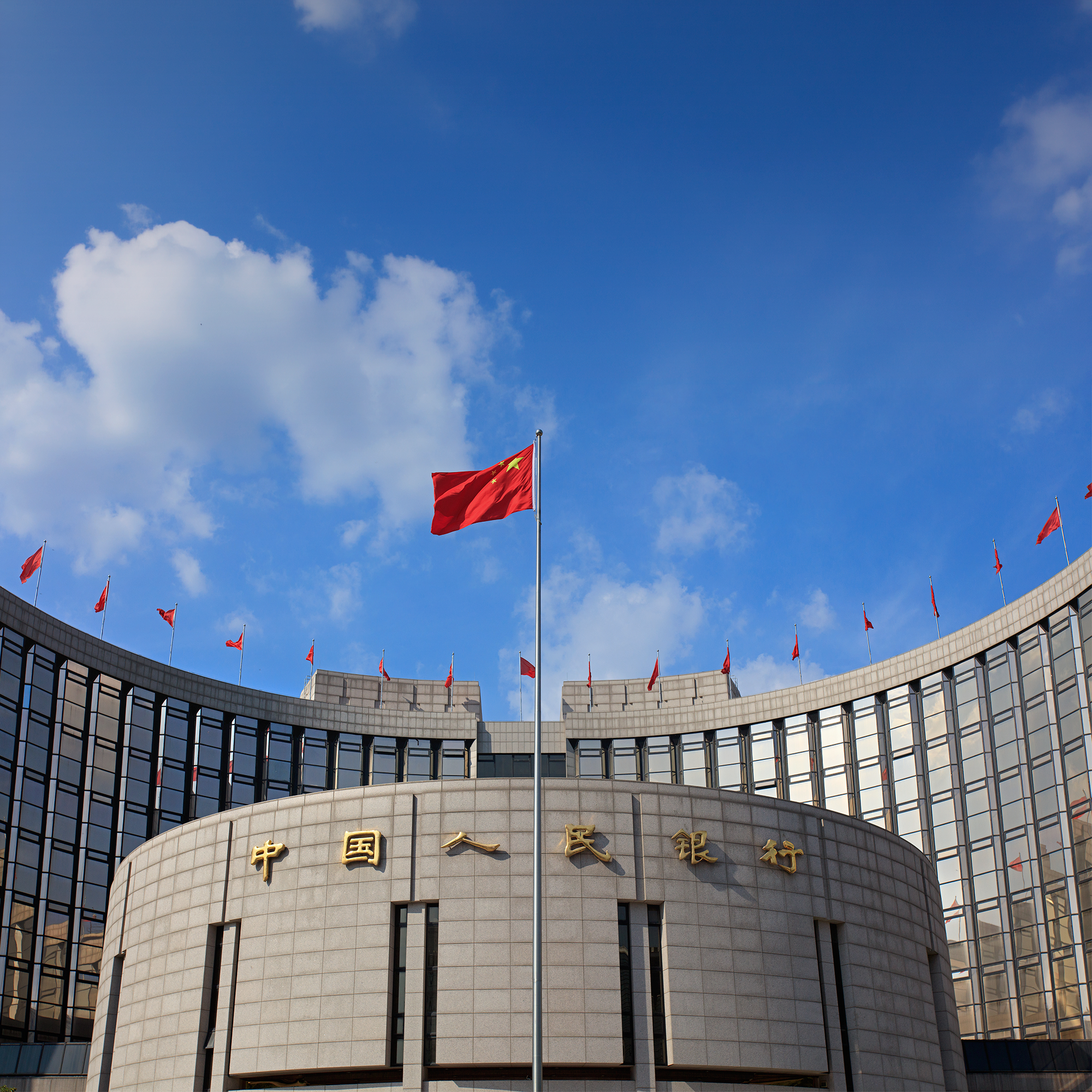 VoxDev Development Economics