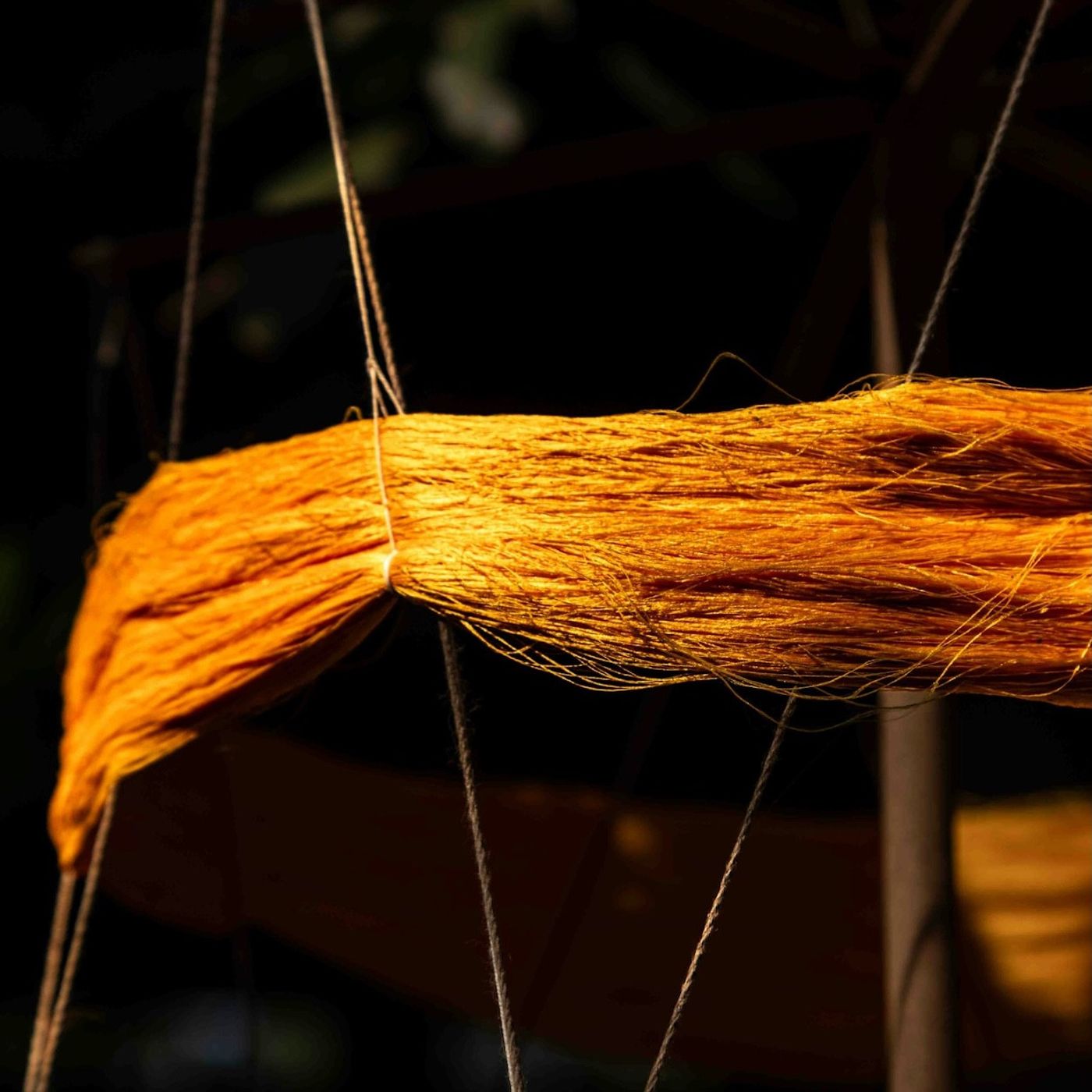442: The Great Weave of Nature and Humanity