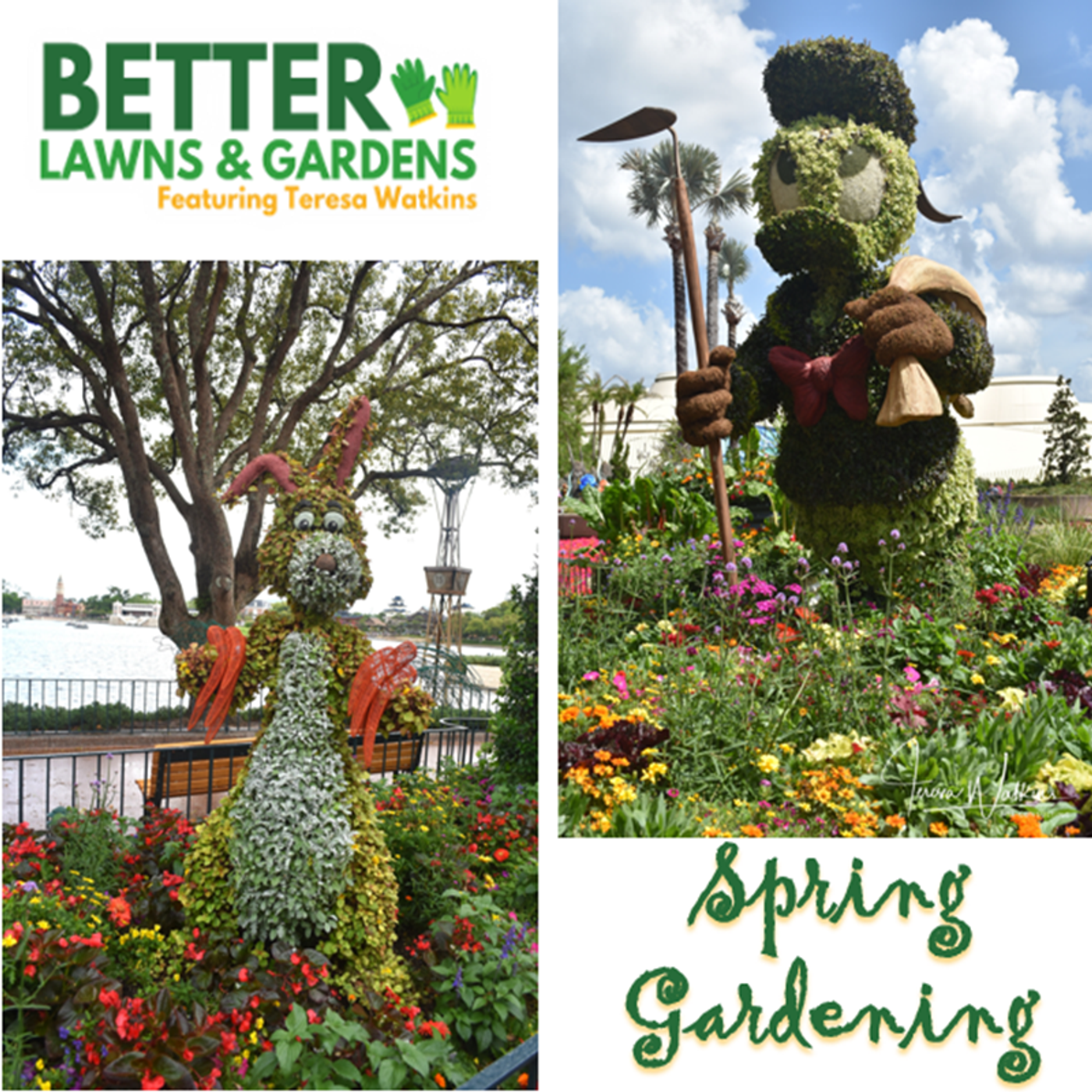 Better Lawns and Gardens - Hour 2 Spring Gardening April 5, 2026
