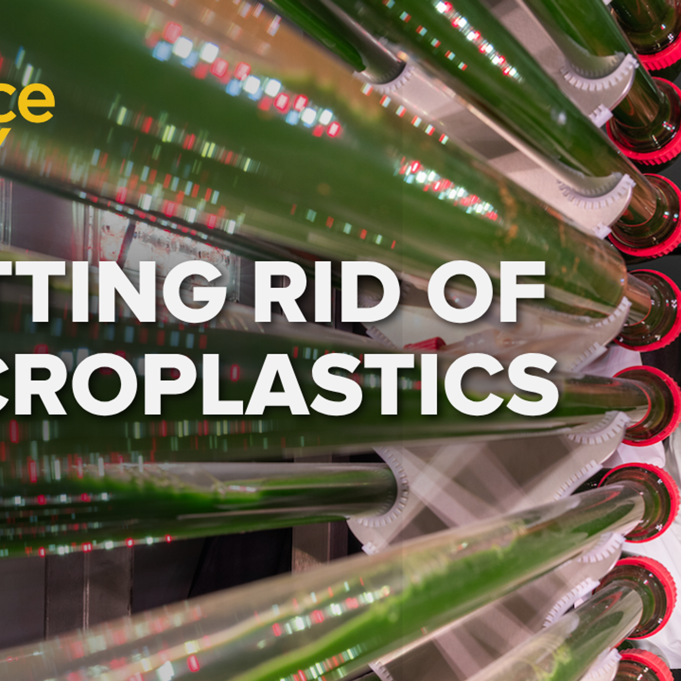 1272: Can algae help pull microplastics out of our water supply? episode artwork