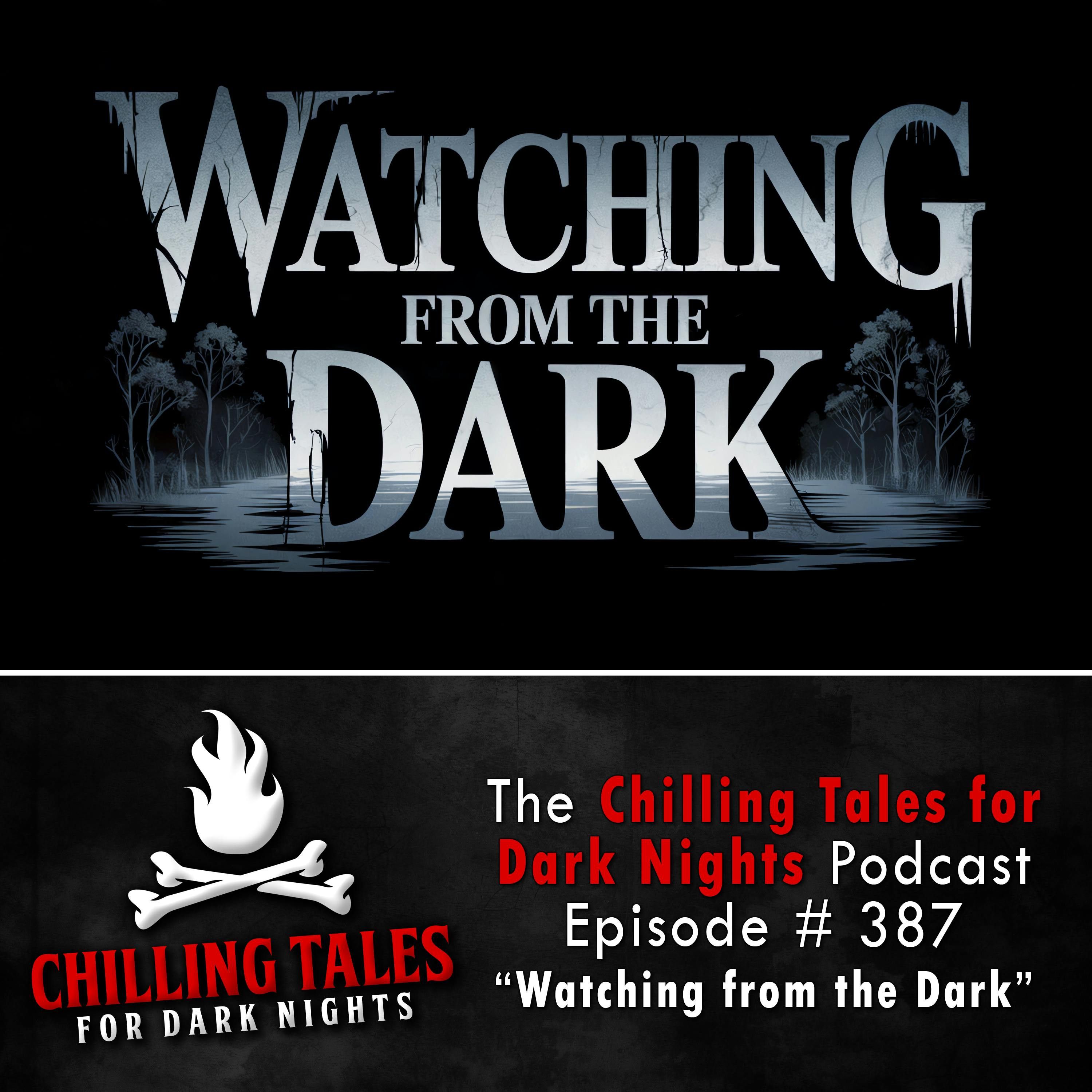 387: 387: Watching from the Dark - Chilling Tales for Dark Nights