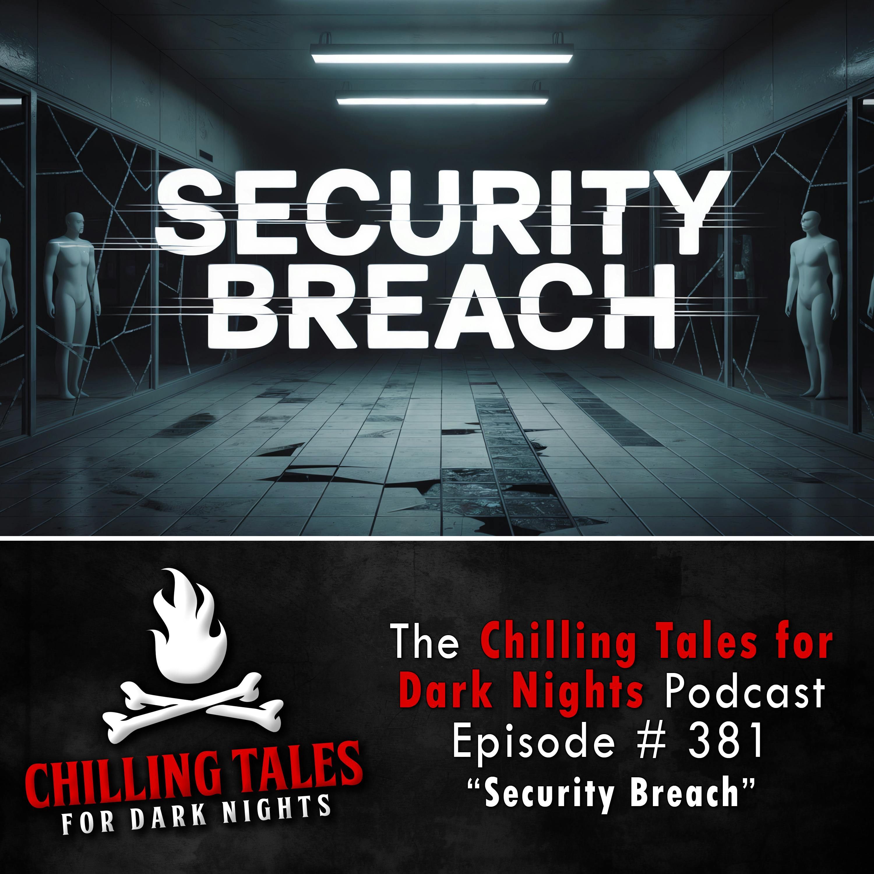 381: 381: Security Breach - Chilling Tales for Dark Nights