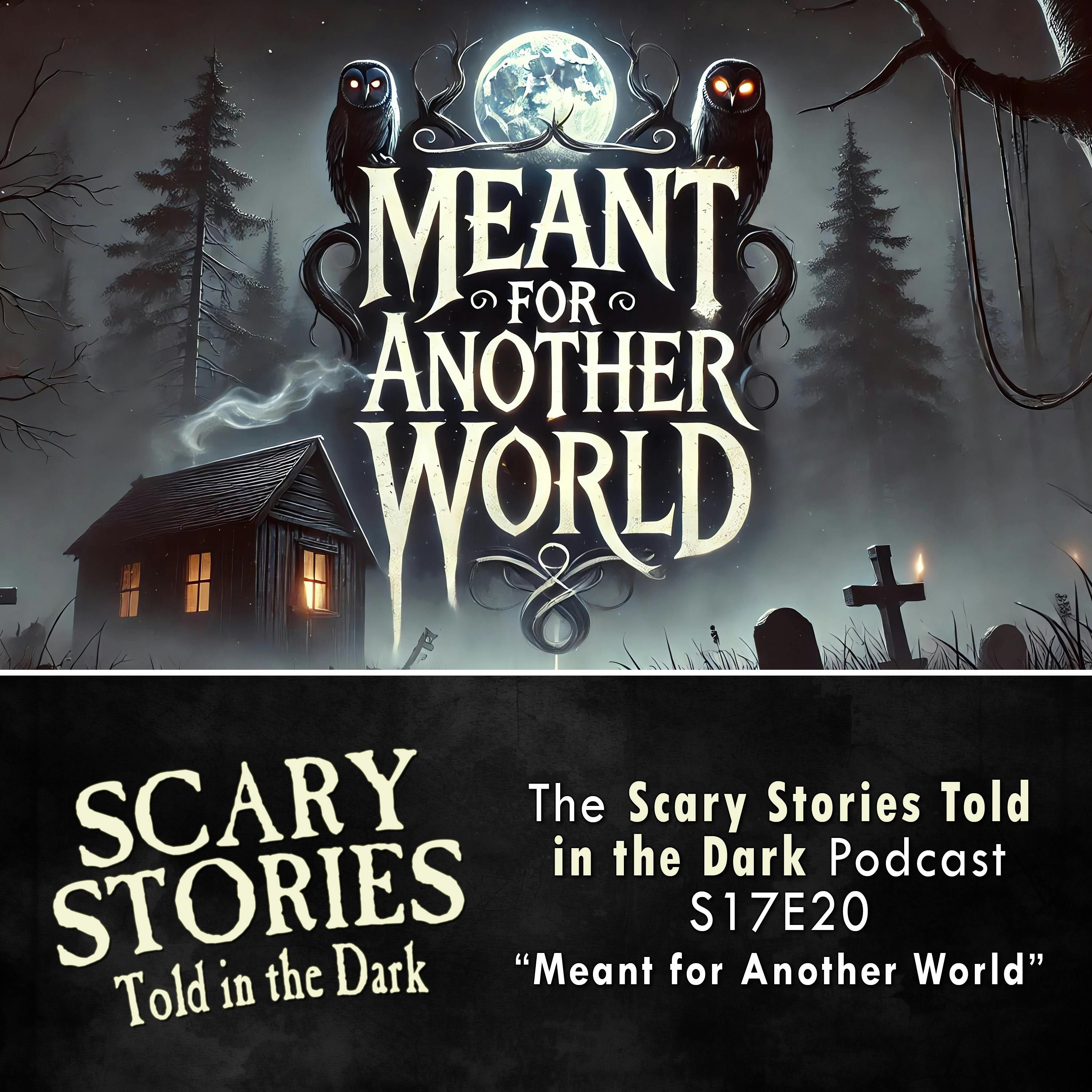 S17 Ep20: S17E20 - "Meant for Another World" – Scary Stories Told in the Dark