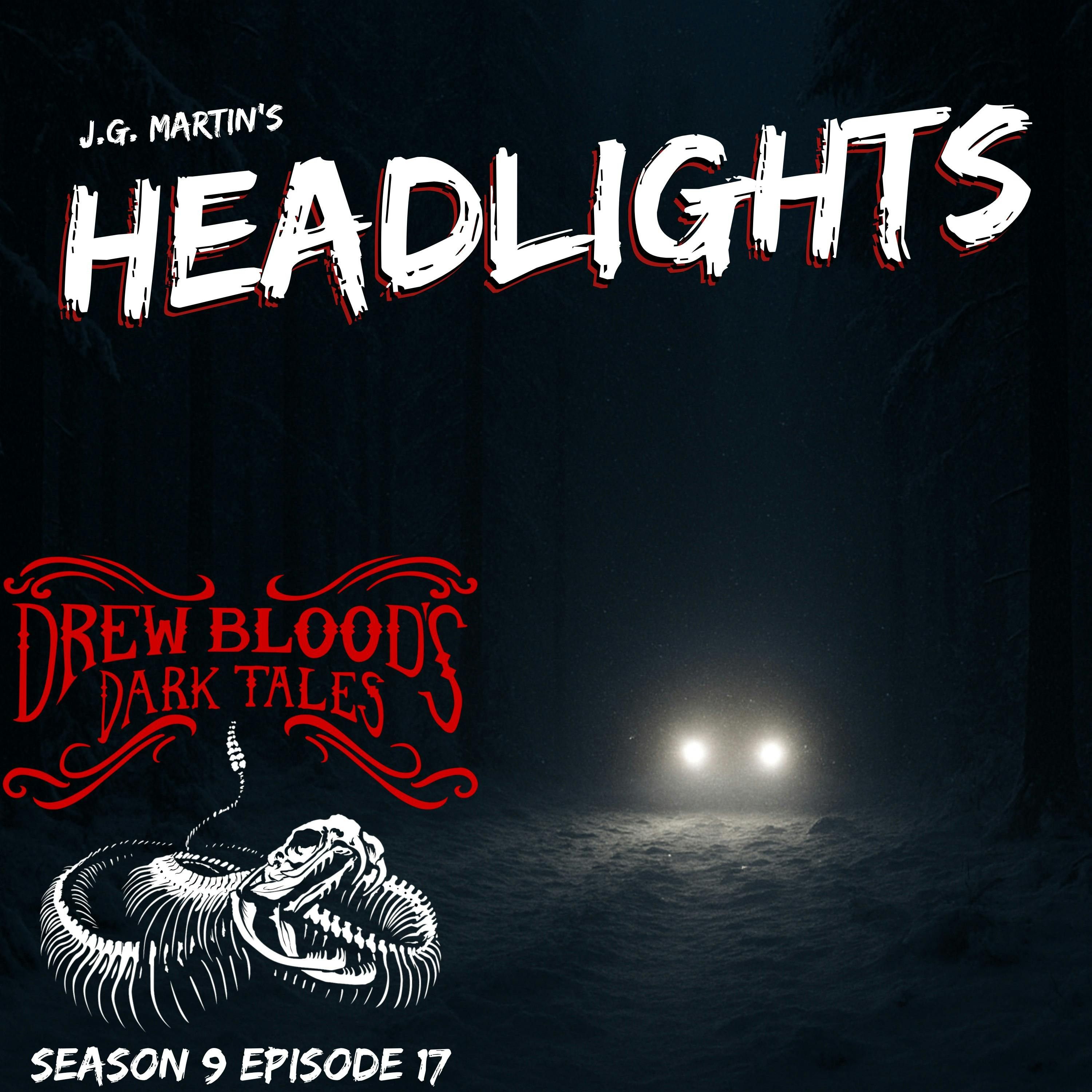 S9E17 - "Headlights" - Drew Blood