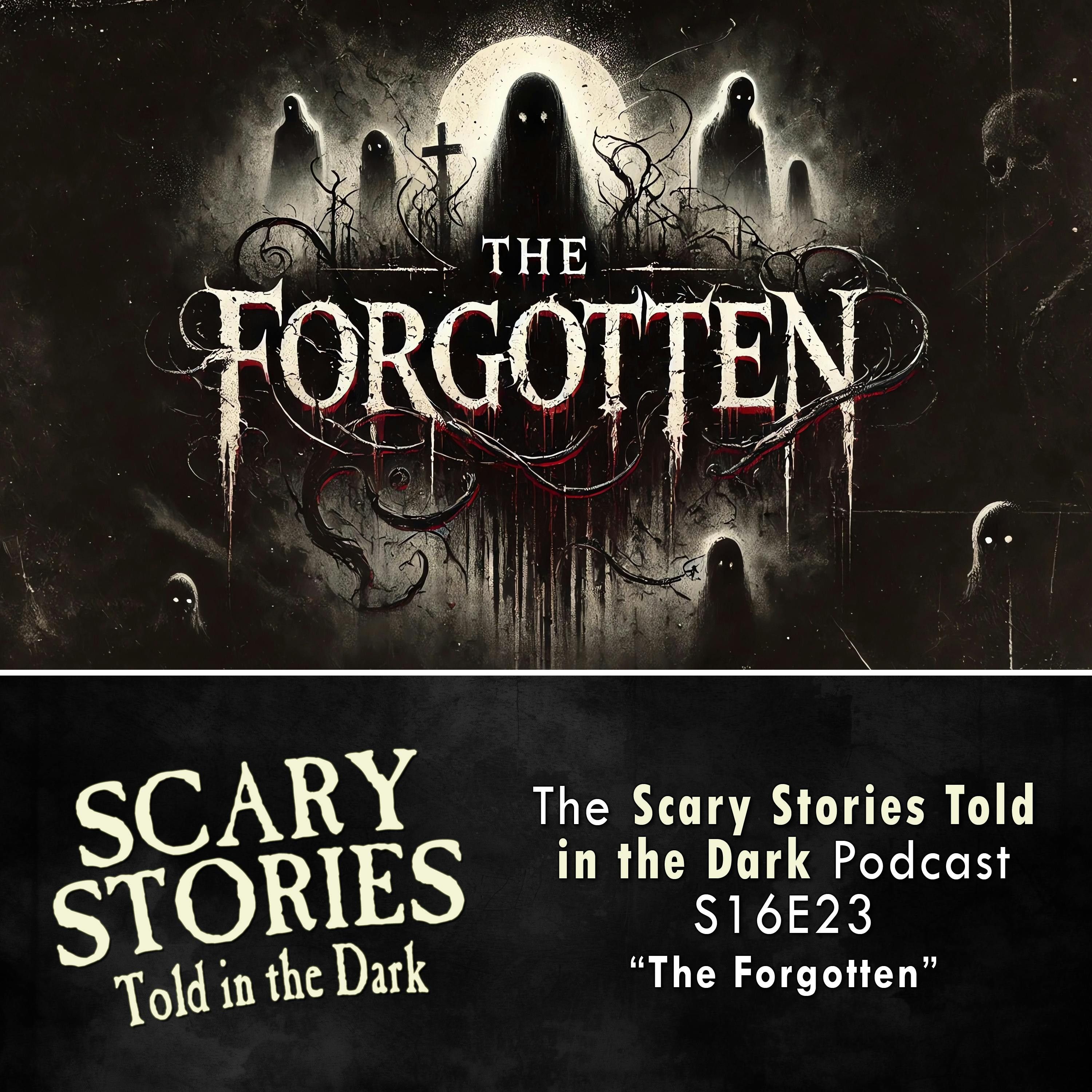S16 Ep23: S16E23 - "The Forgotten" – Scary Stories Told in the Dark