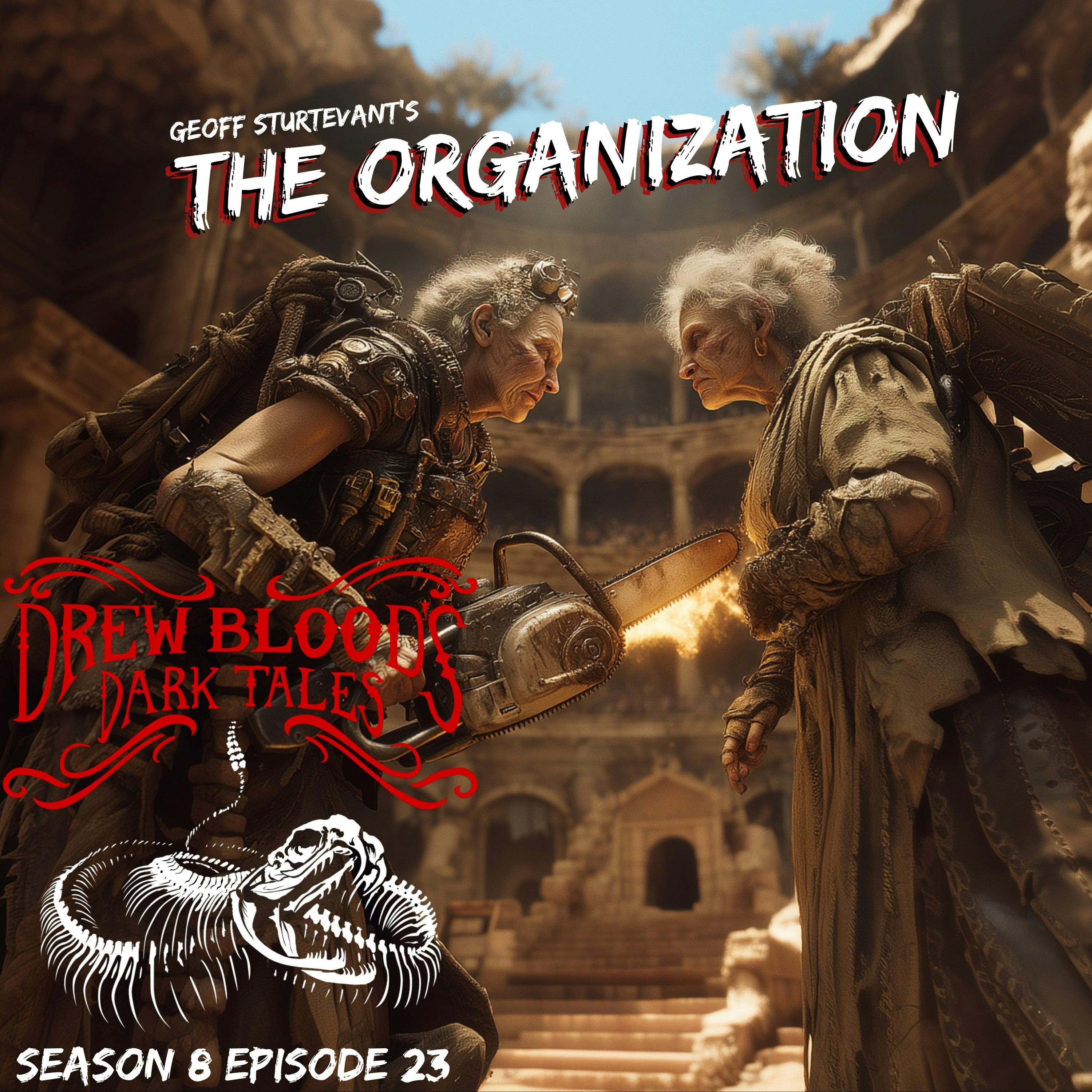 S8E23 - "The Organization" - Drew Blood