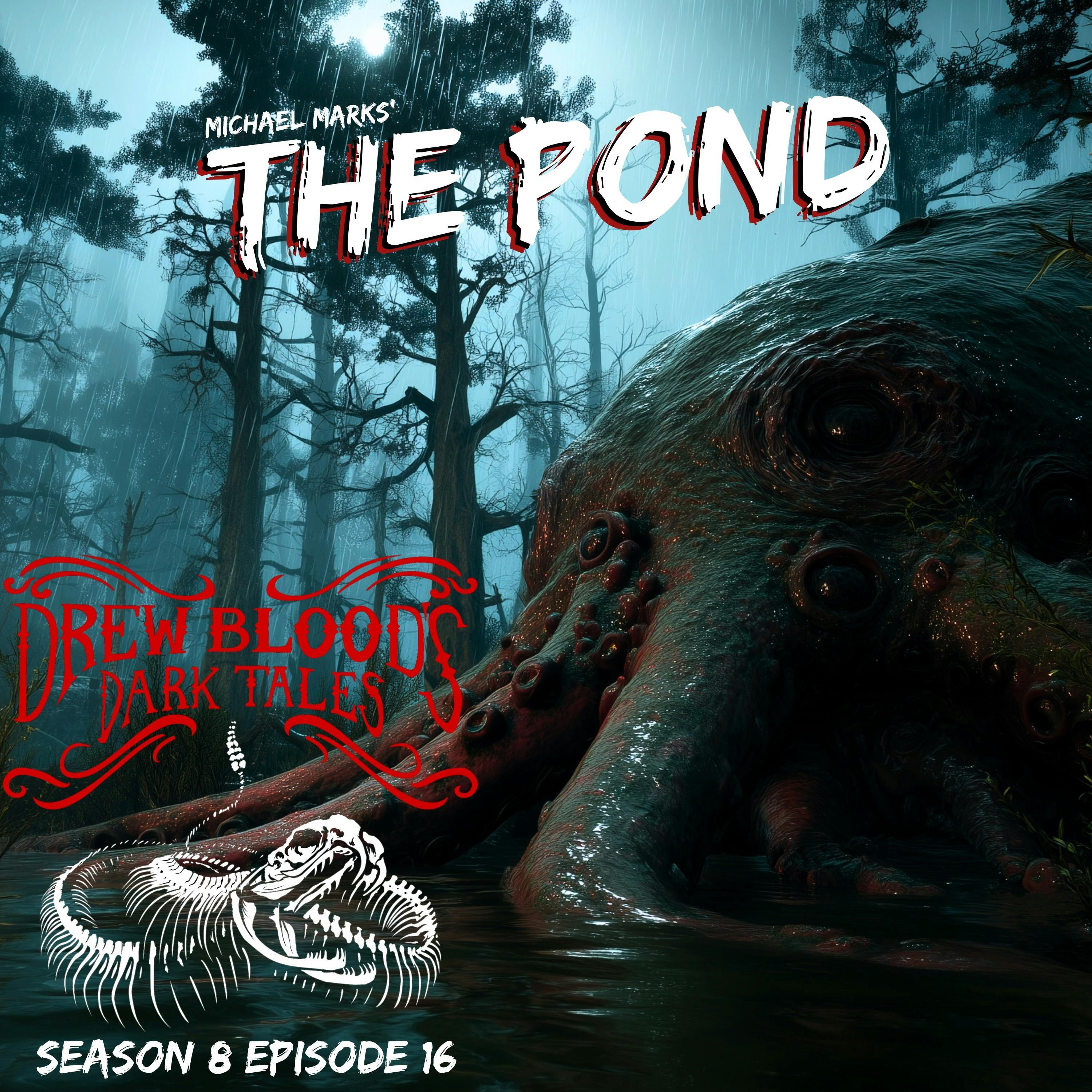 S8E16 - "The Pond" - Drew Blood