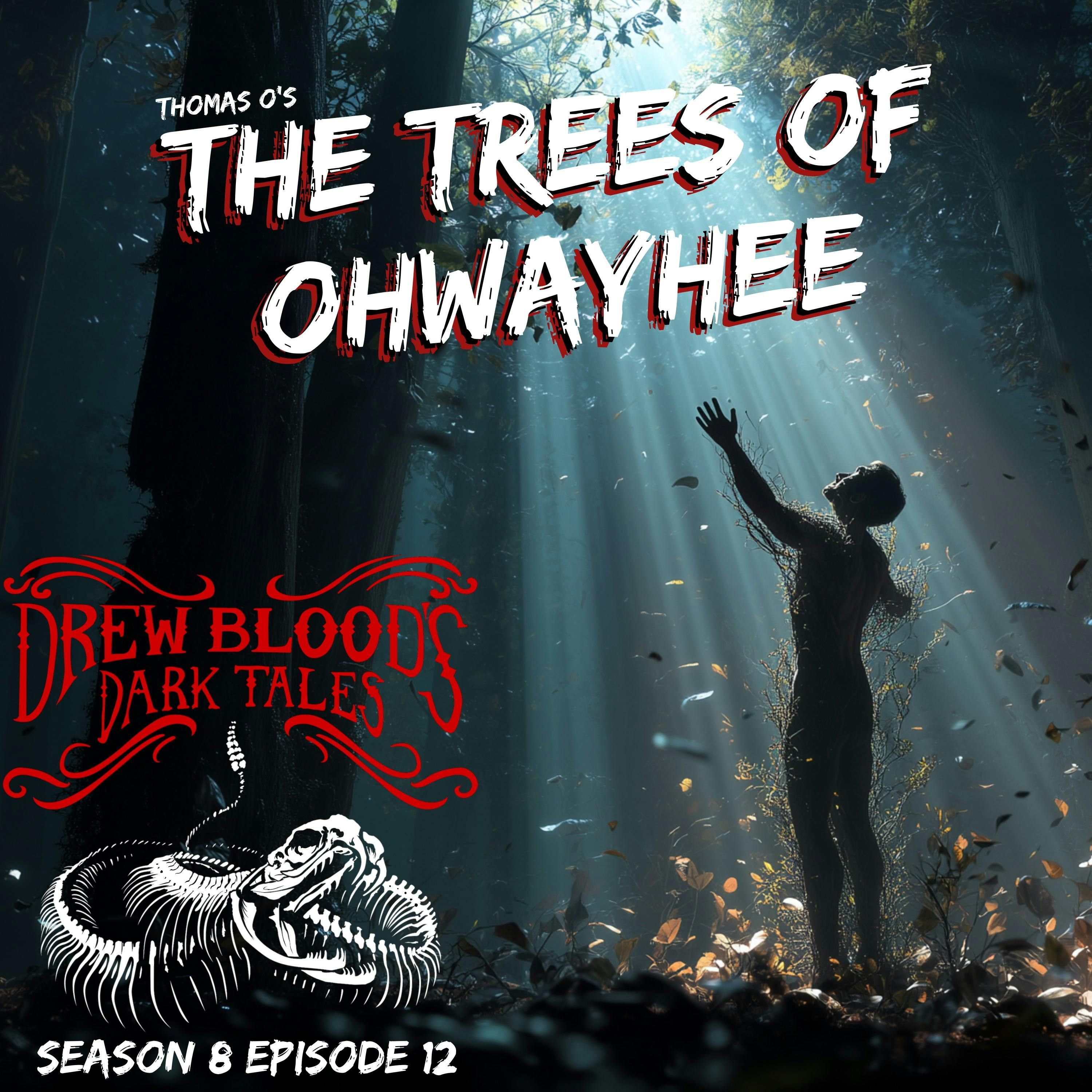 S8E12 - "The Trees of Ohwayhee" - Drew Blood