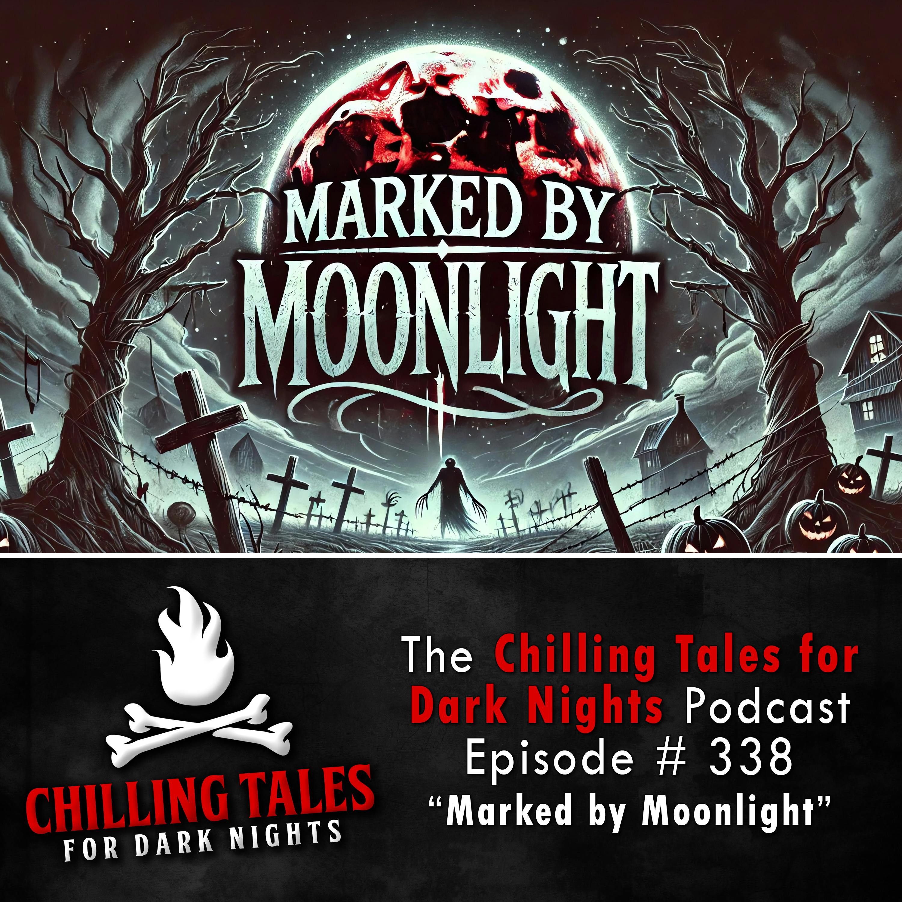338: 338: Marked by Moonlight - Chilling Tales for Dark Nights