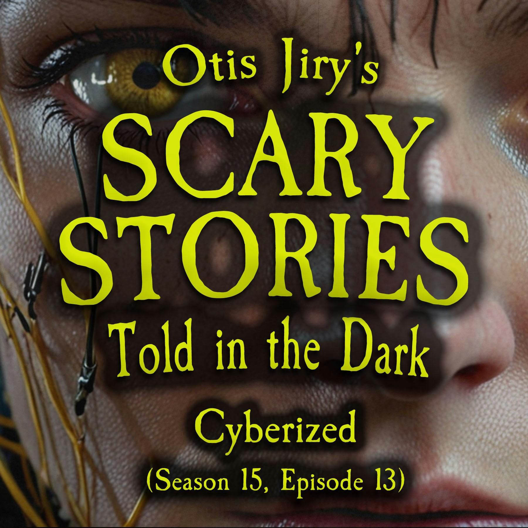 S15 Ep13: S15E13 - "Cyberized" – Scary Stories Told in the Dark