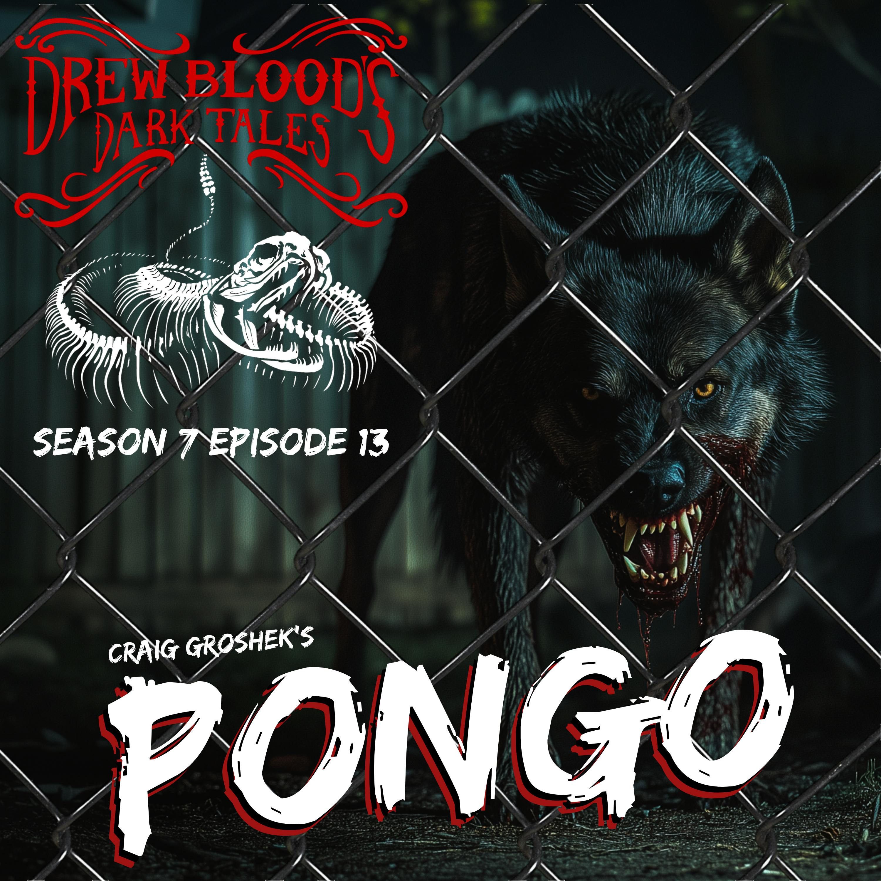 S7E13 - "Pongo" - Drew Blood