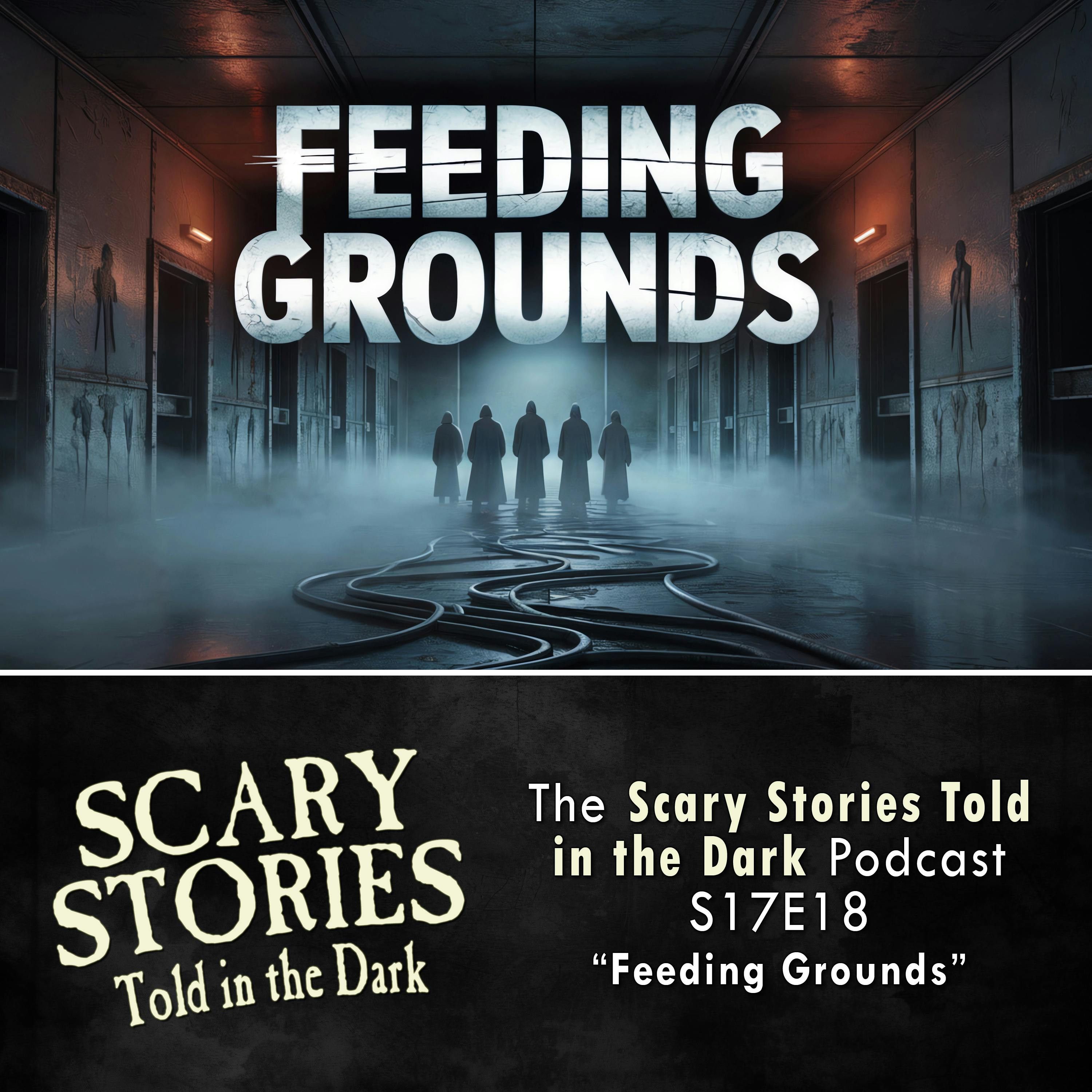 S17 Ep18: S17E18 - "Feeding Grounds" – Scary Stories Told in the Dark