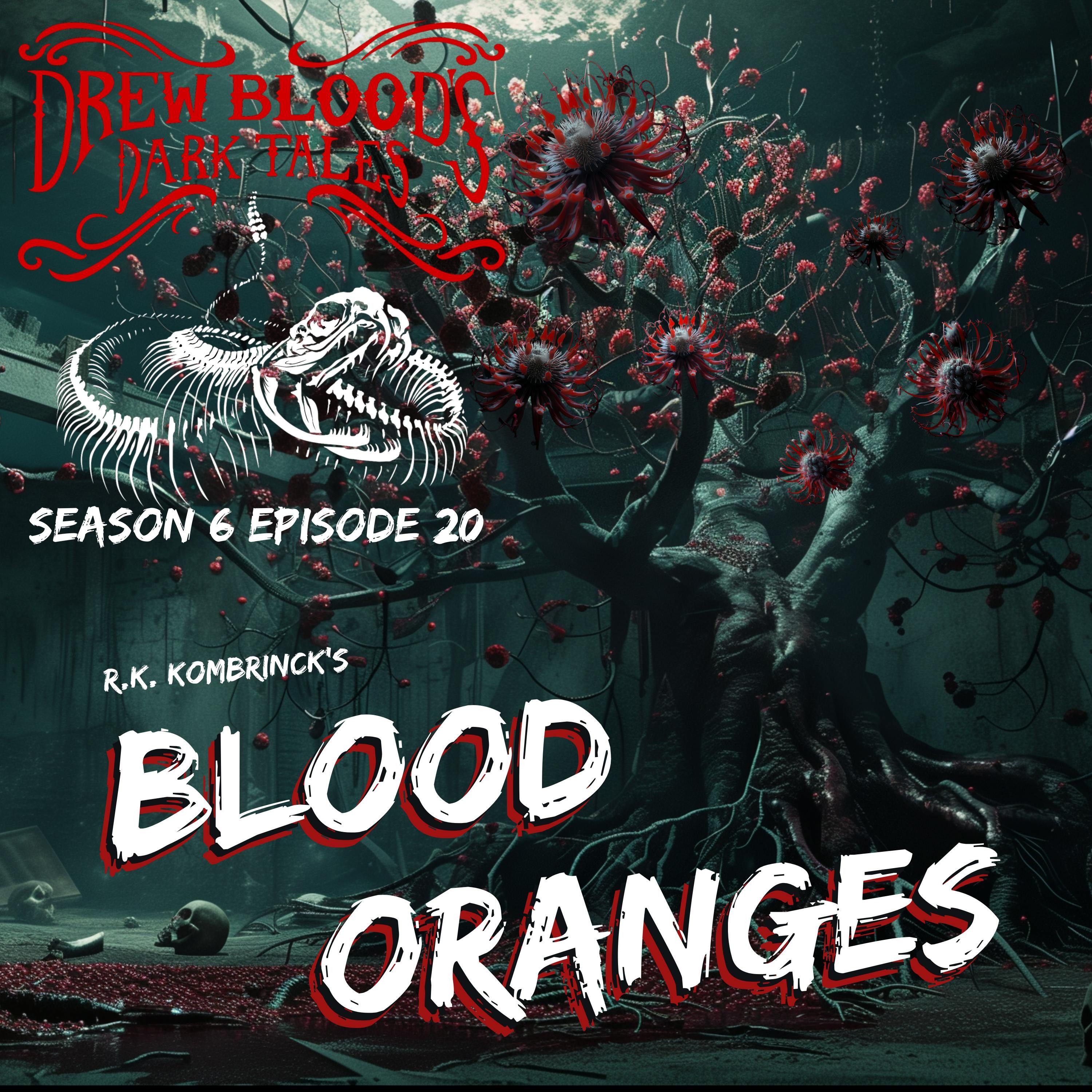 S6E20 - "Blood Oranges" - Drew Blood