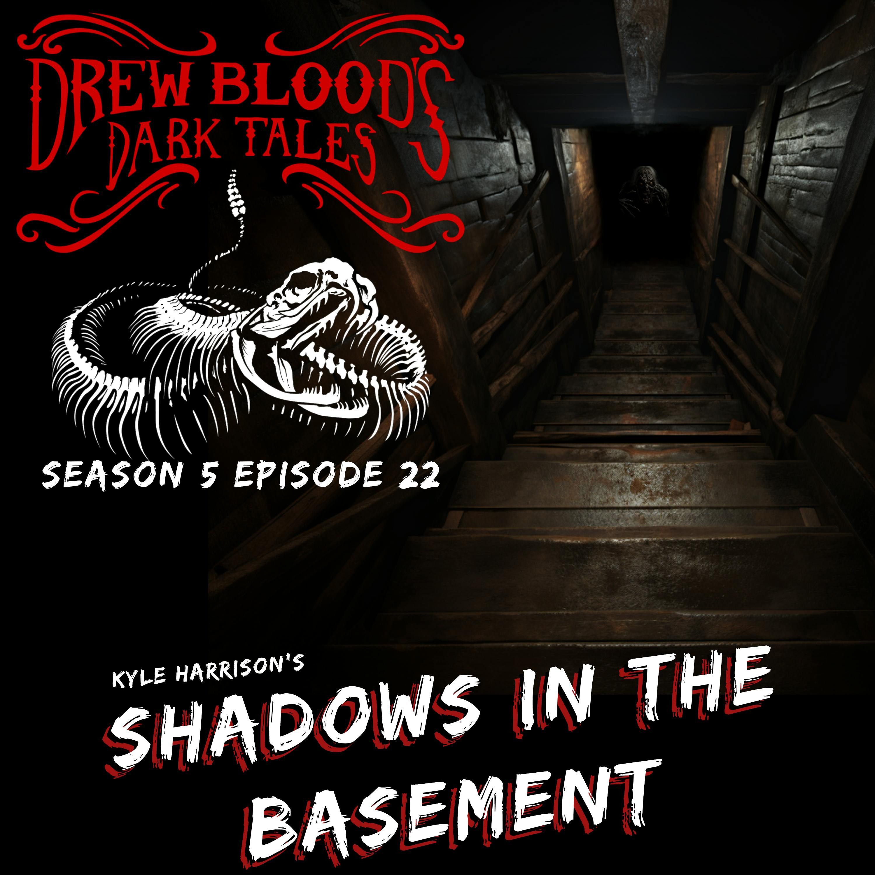 S5E22 - "Shadows in the Basement" - Drew Blood
