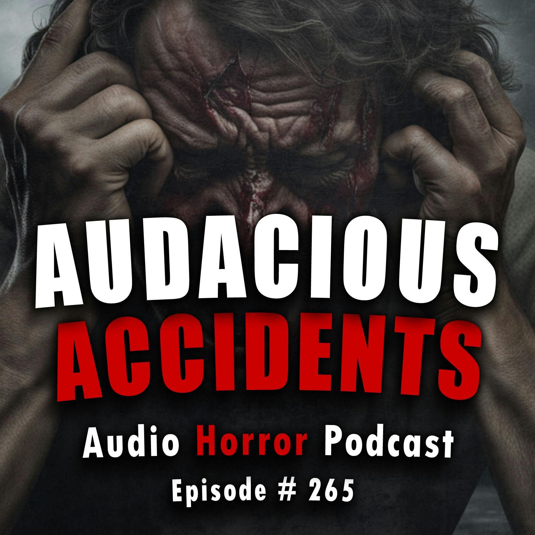 S4 Ep265: 265: Audacious Accidents  - Chilling Tales for Dark Nights