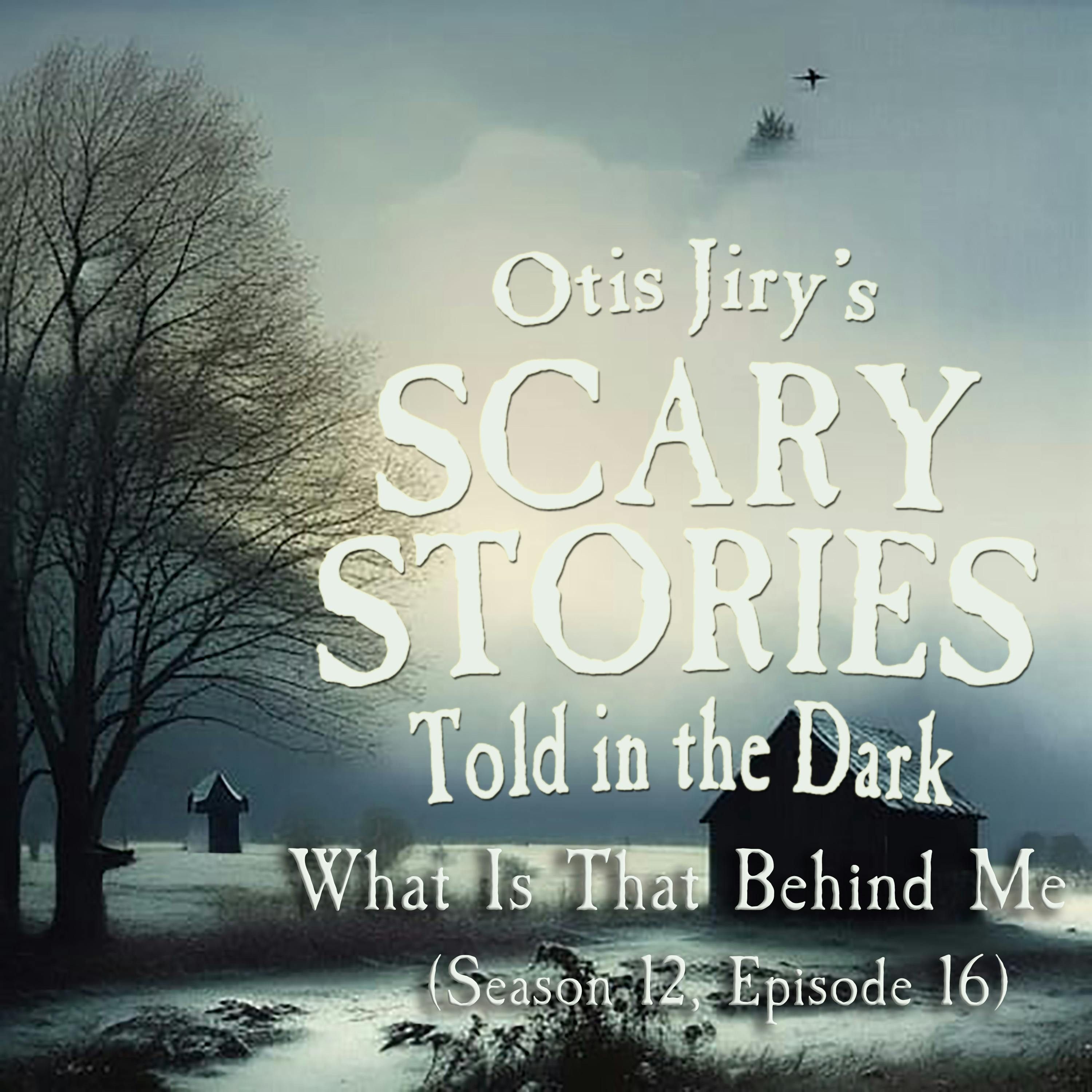 S12 Ep16: S12E16 – "What Is That Behind Me?" – Scary Stories Told in the Dark