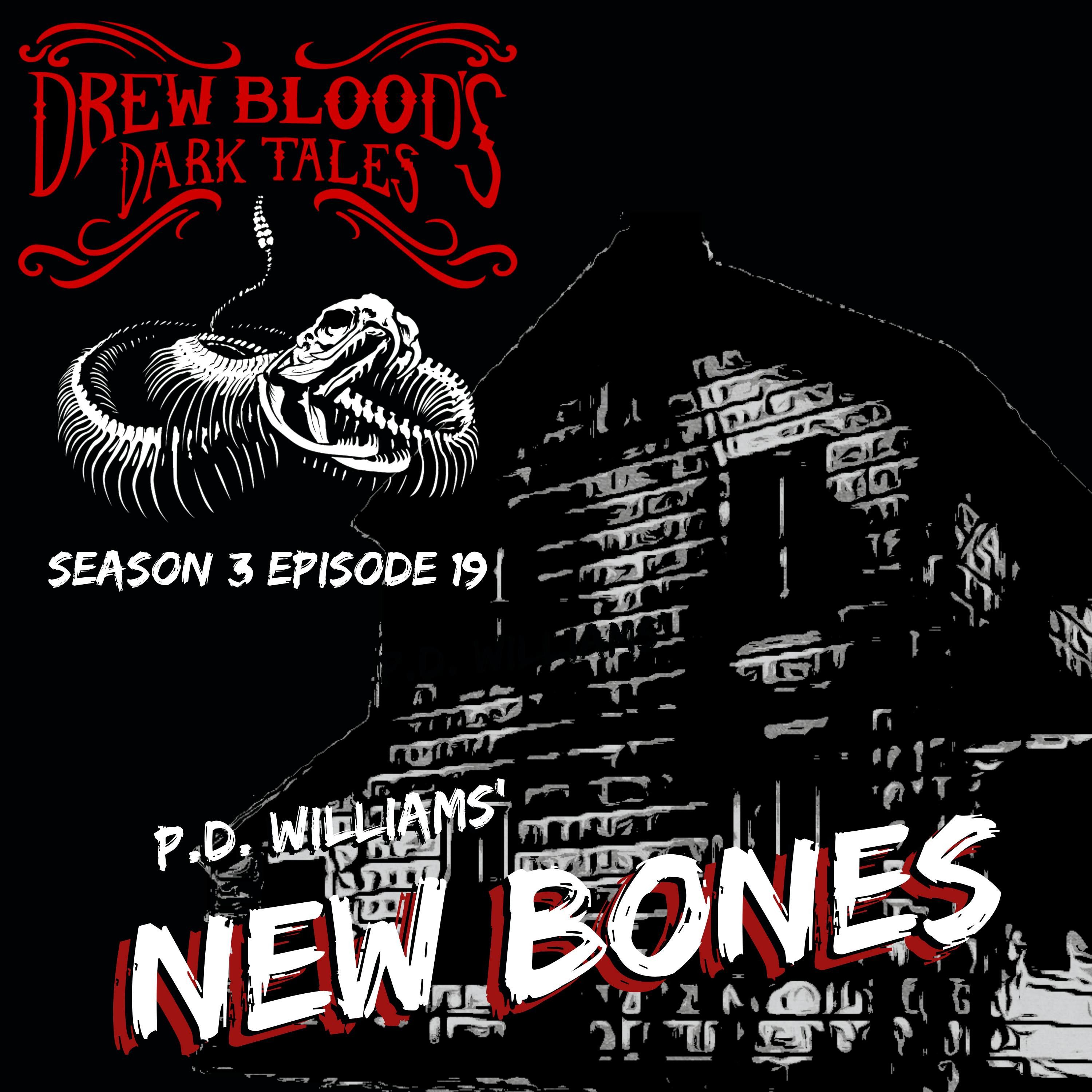 S03E19 - "New Bones" - Drew Blood