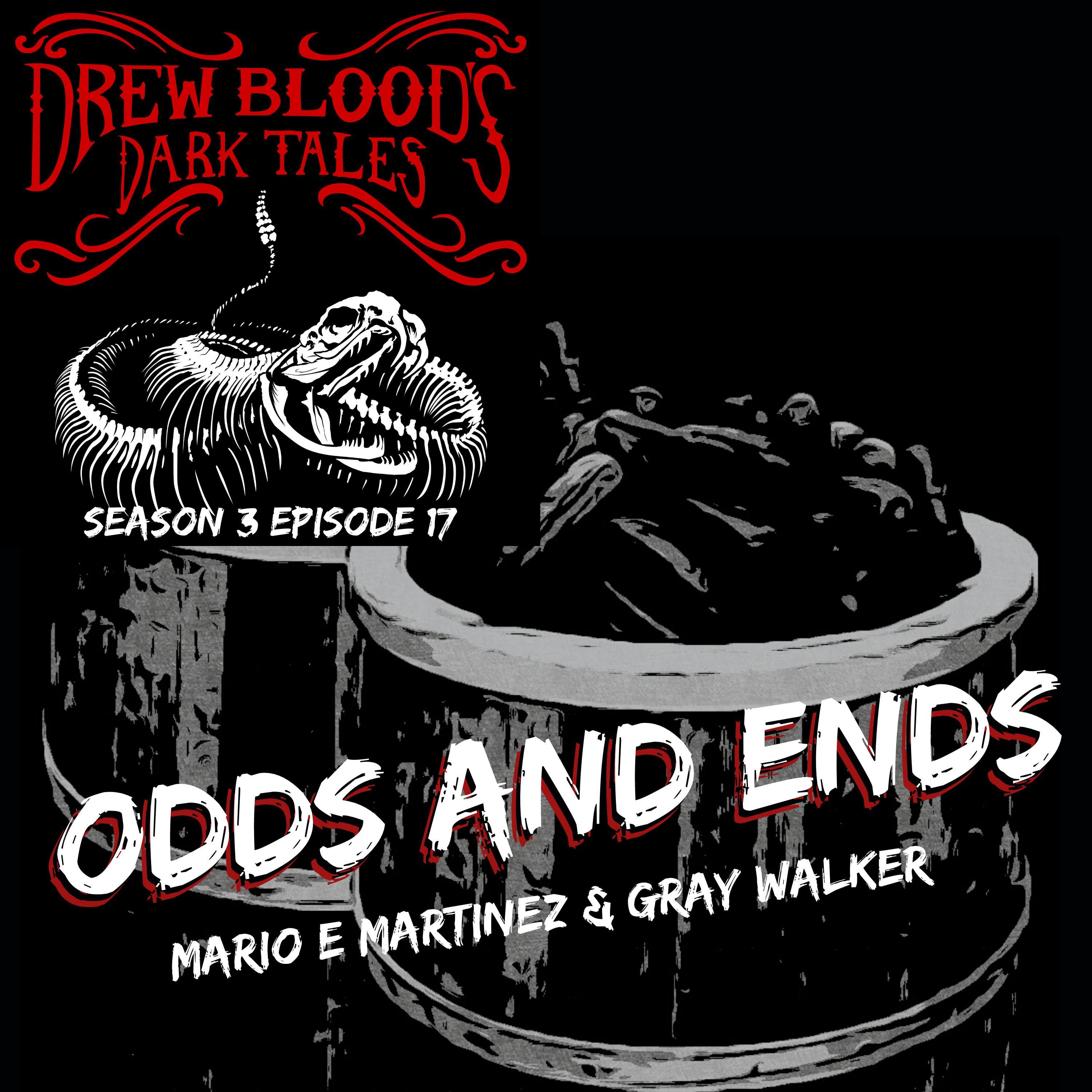 S03E17 - "Odds and Ends"- Drew Blood