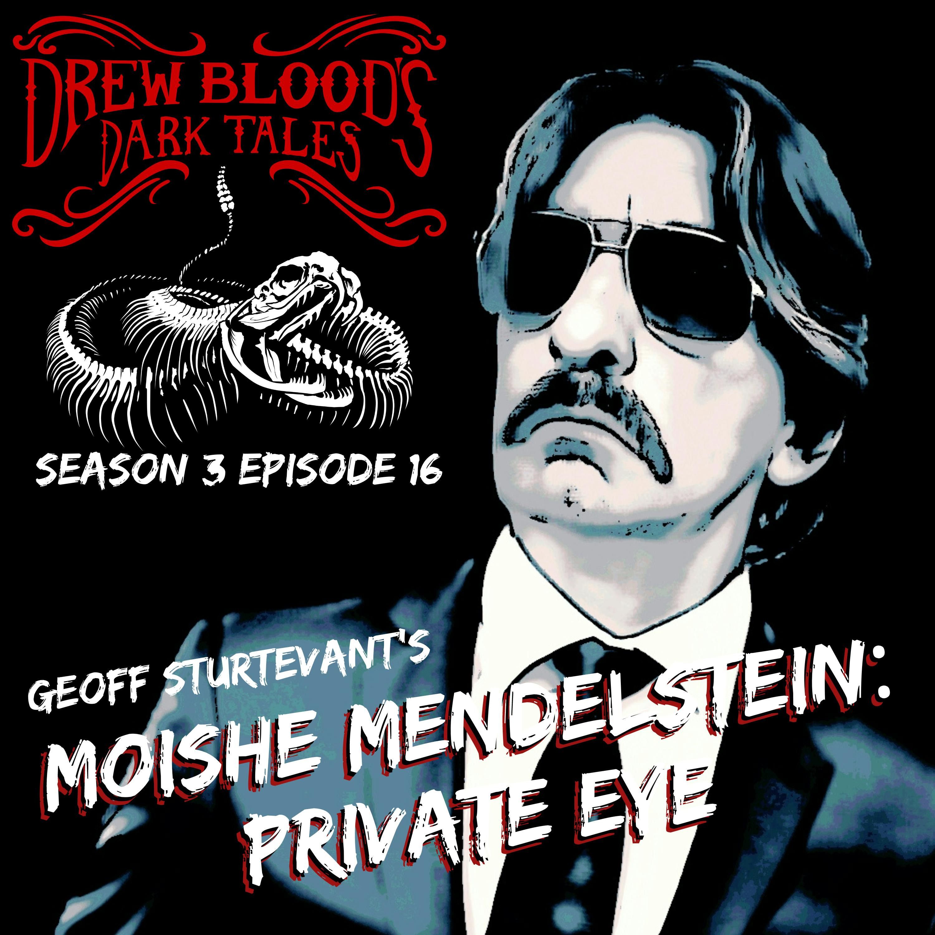 S03E16 - "Moishe Mendelstein: Private Eye"- Drew Blood