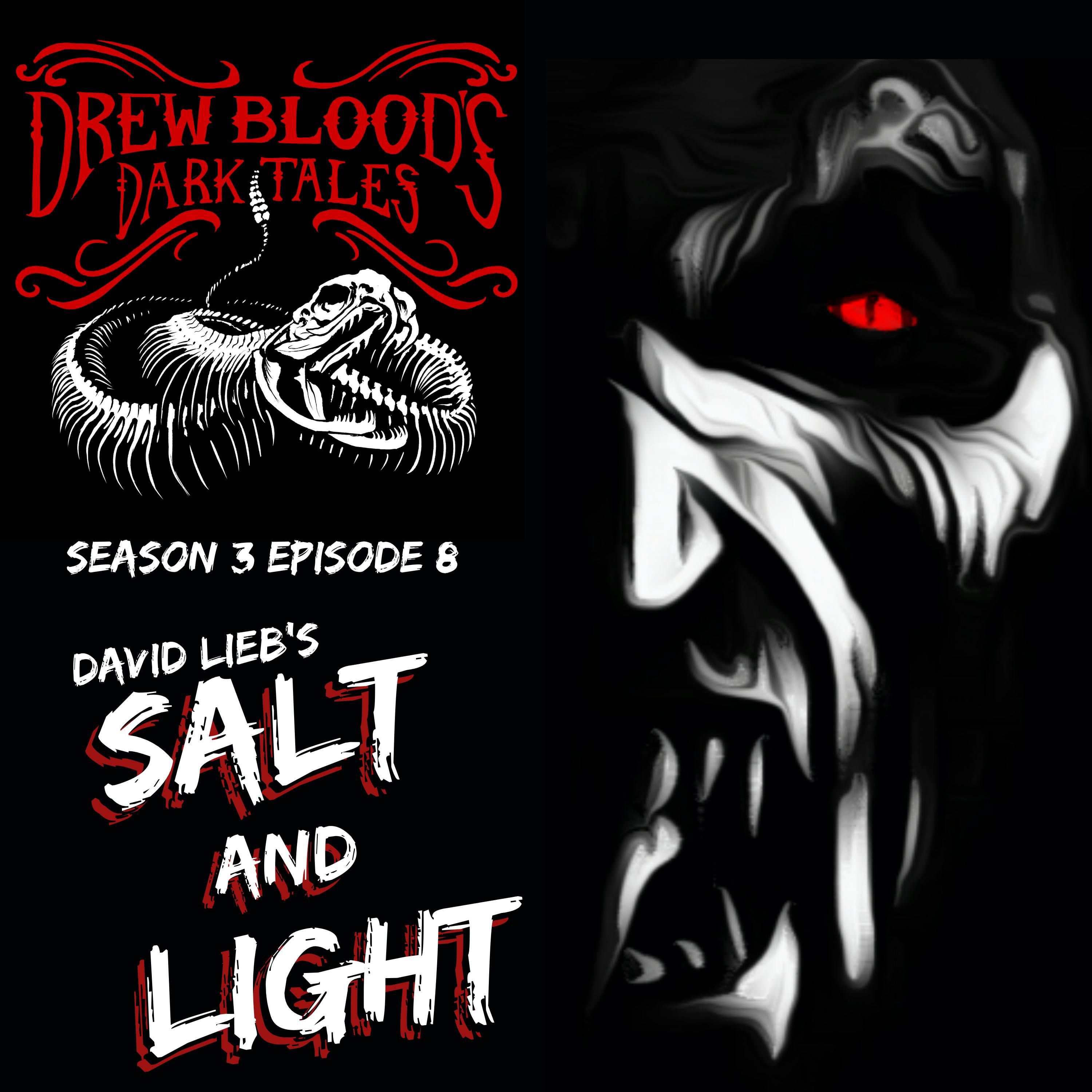 S03E08 - "Salt and Light" - Drew Blood