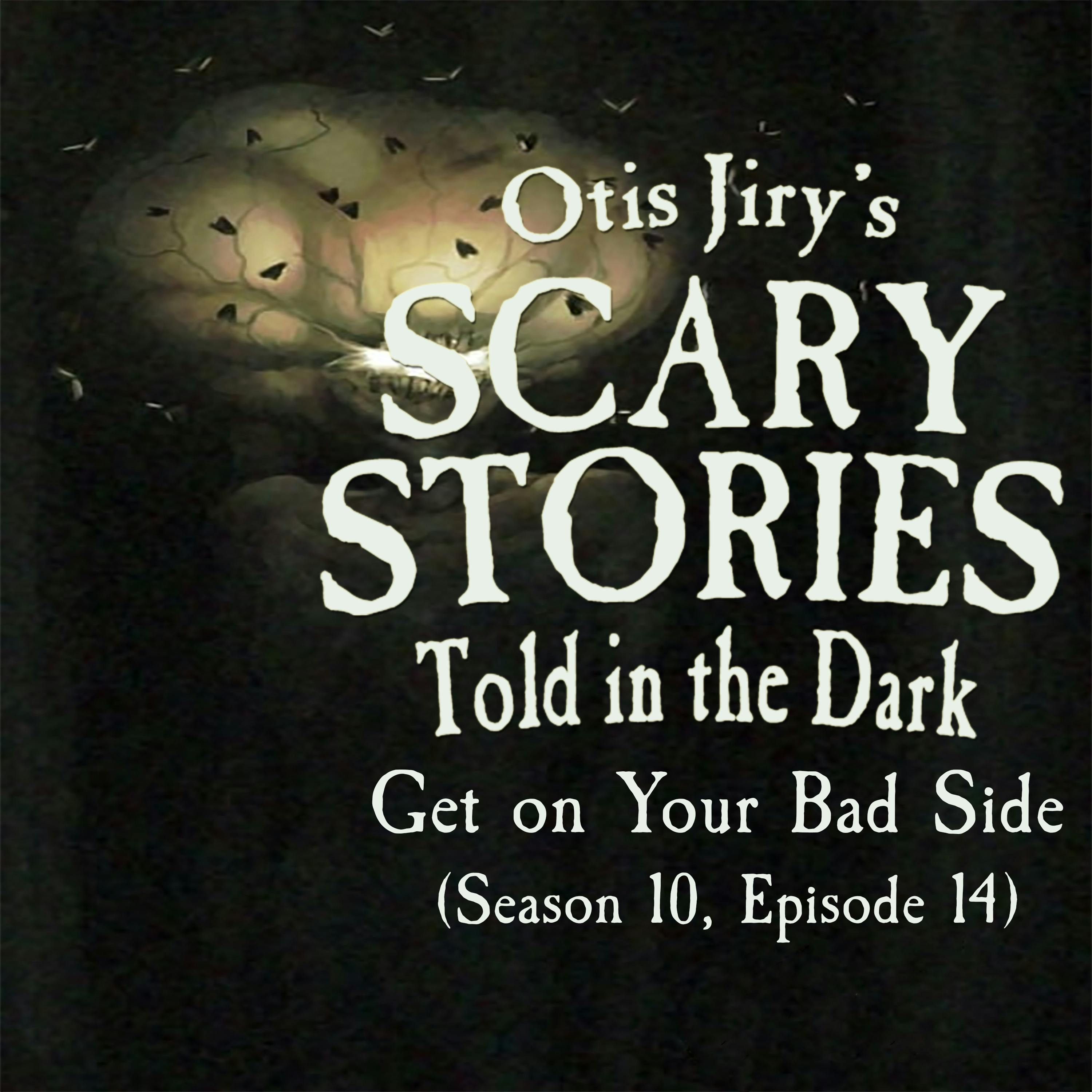 S10 Ep14: S10E014 – "Get on Your Bad Side" – Scary Stories Told in the Dark