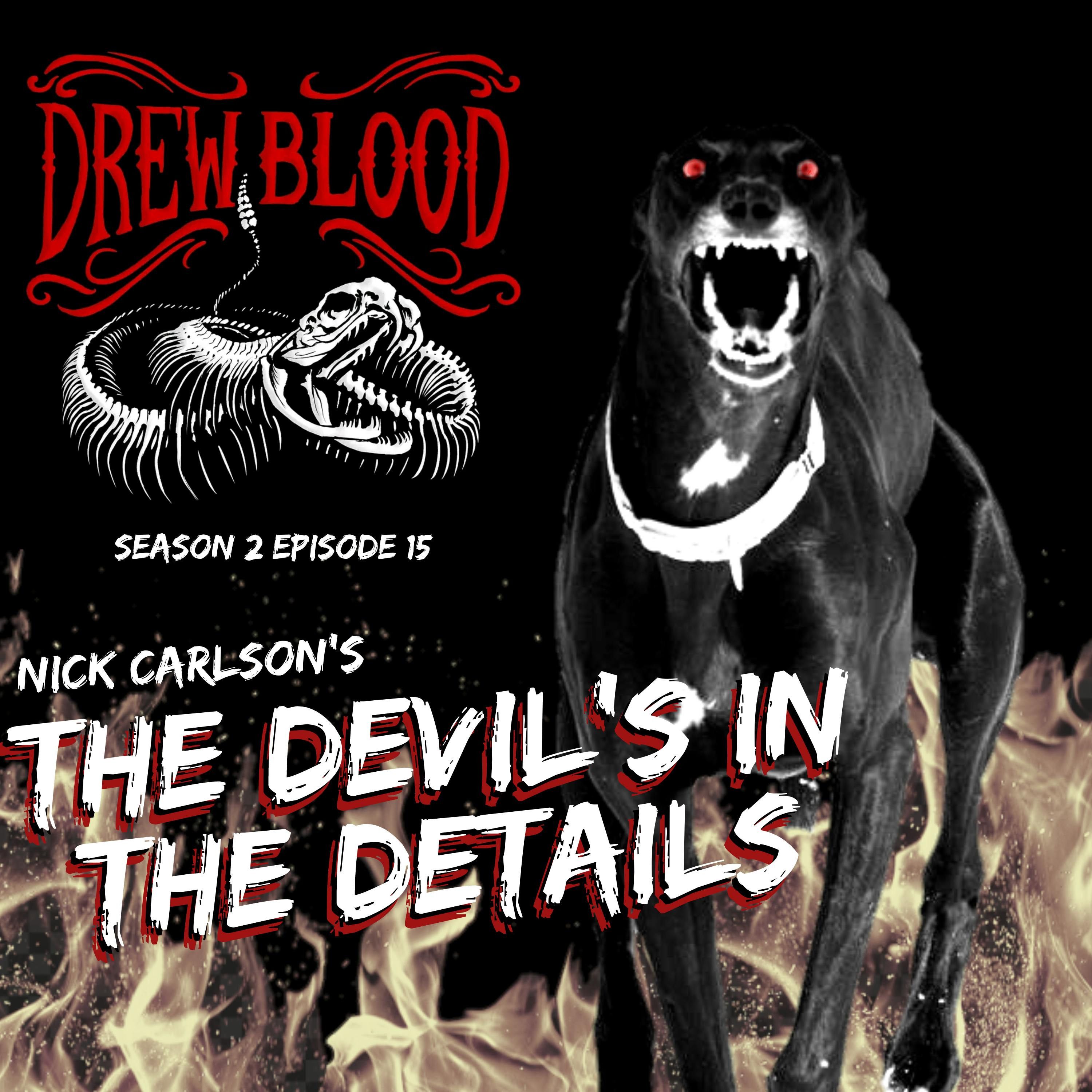 S02E15 - "The Devil's in the Details" - Drew Blood