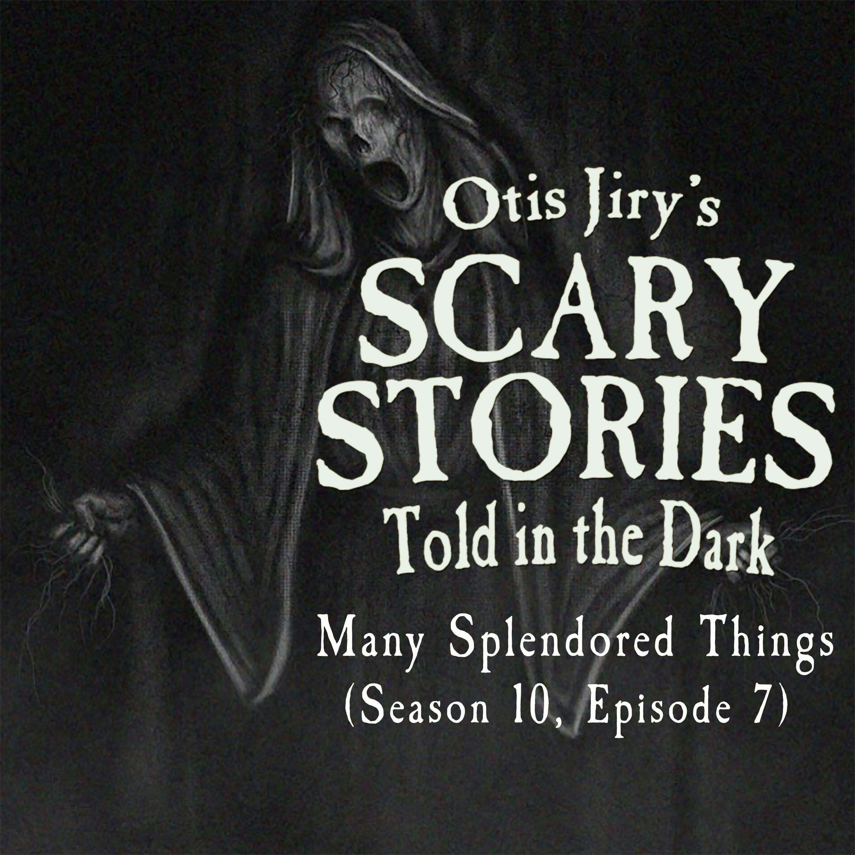 S10 Ep7: S10E007 – "Many Splendored Things" – Scary Stories Told in the Dark