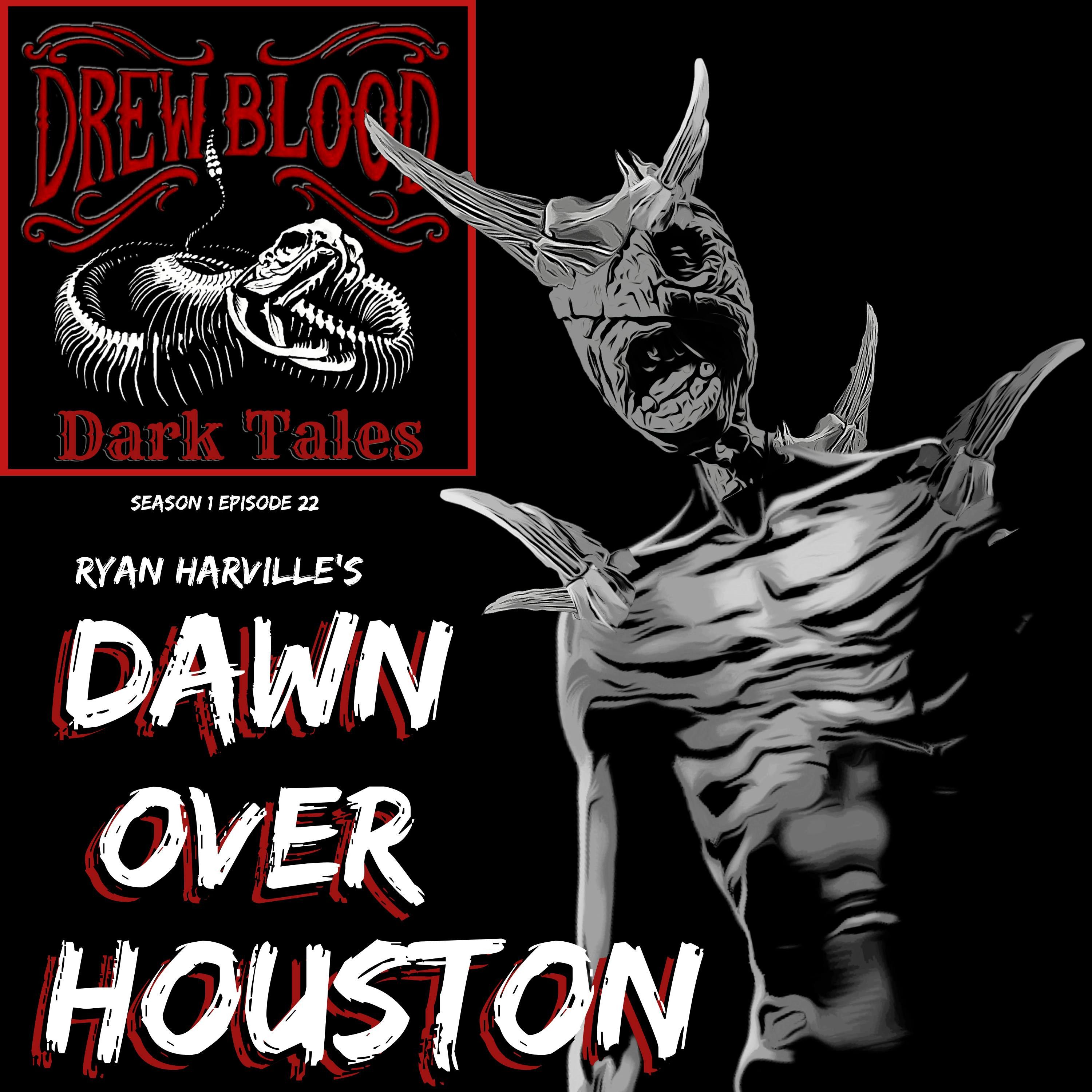 S01E22 - "Dawn Over Houston" - Drew Blood