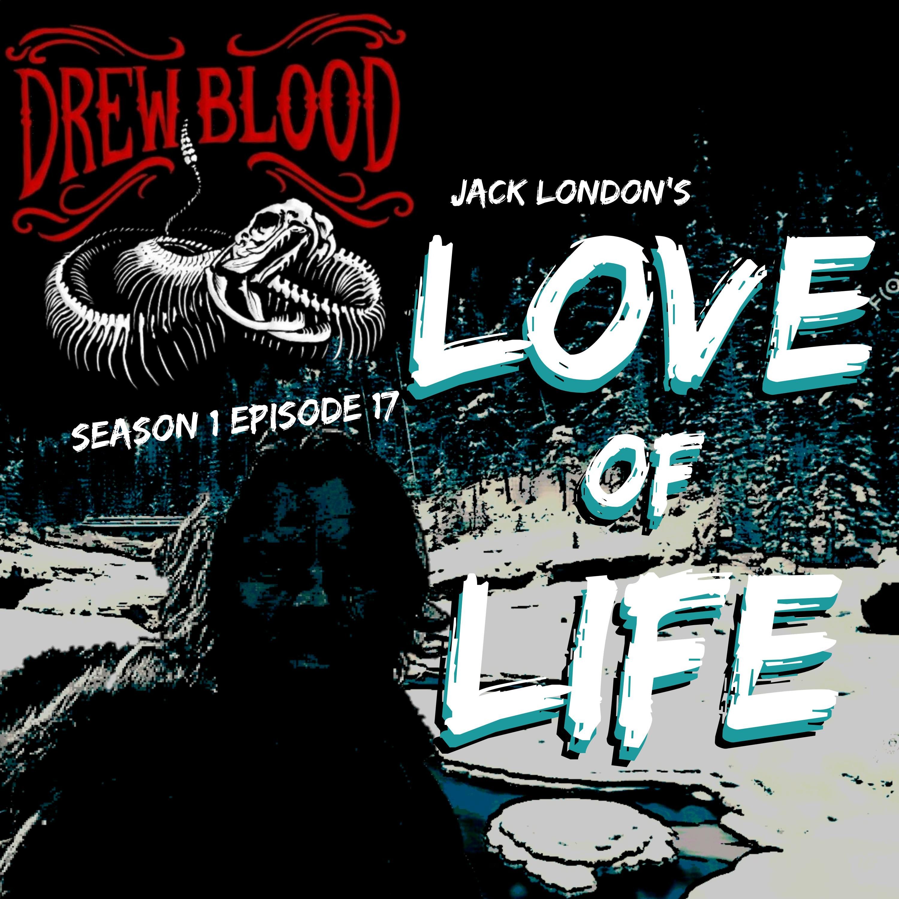 S01E17 - "Love of Life (Revised)" - Drew Blood