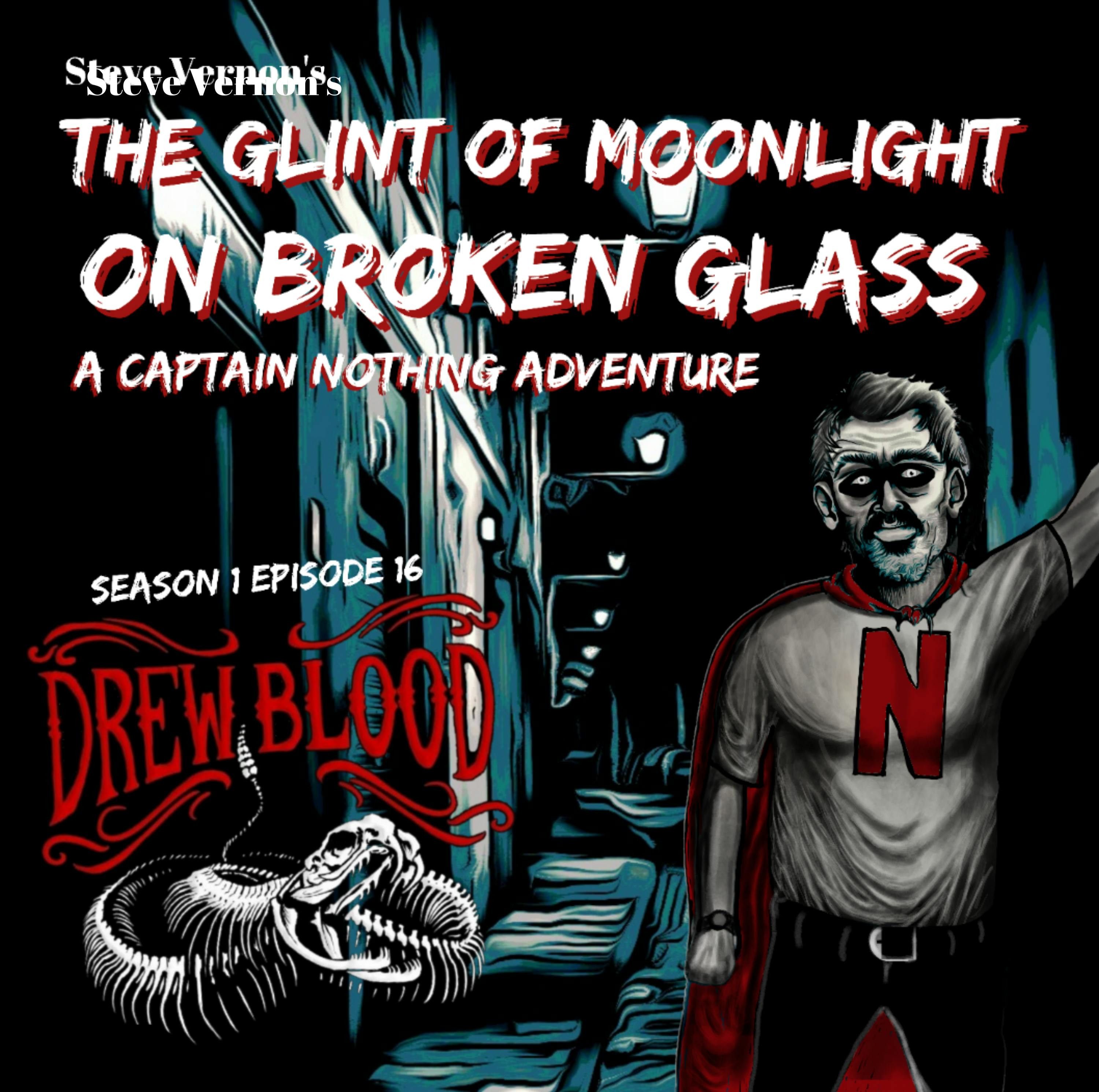 S01E16 - "The Glint of Moonlight on Broken Glass" - Drew Blood