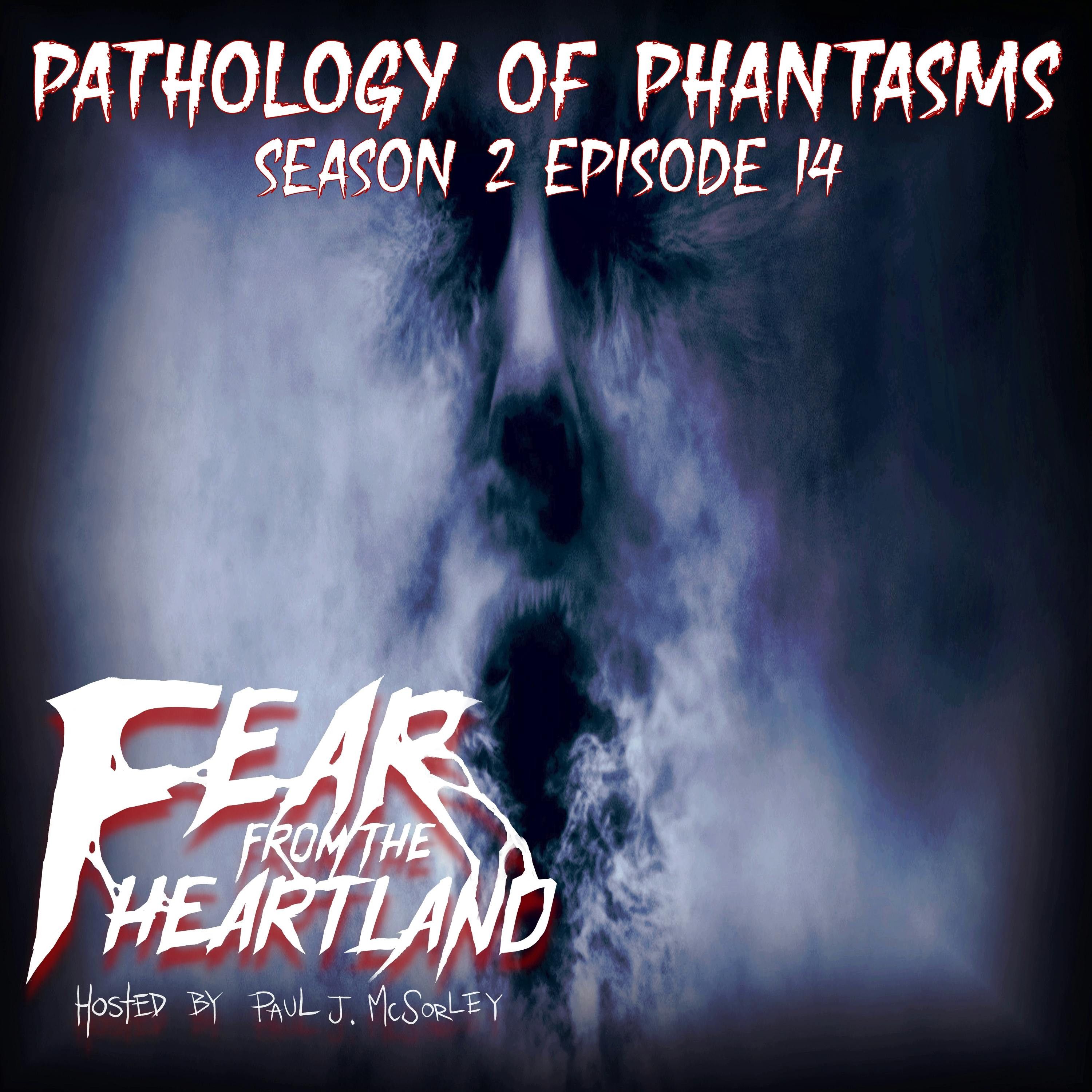 S2 Ep14: S2E14: Pathology of Phantasms - Fear From The Heartland