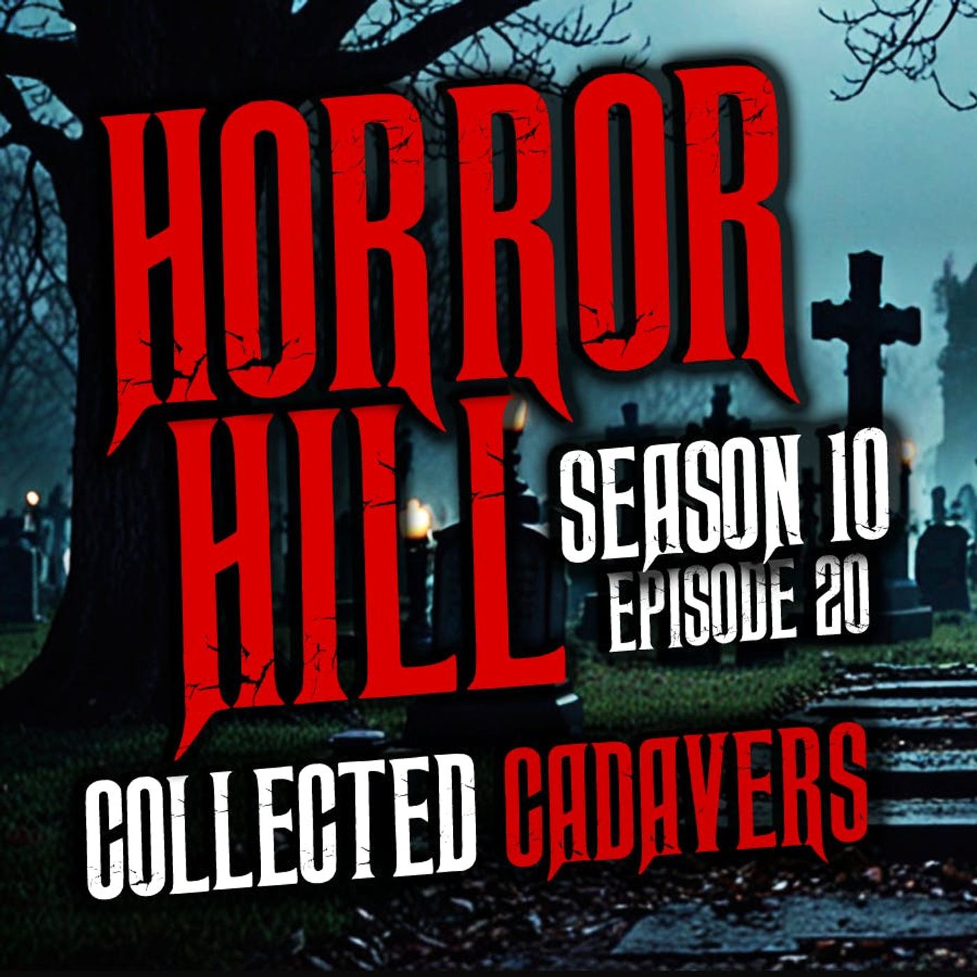 S10 Ep21: S10E21 - “Friends and Strangers" - Horror Hill