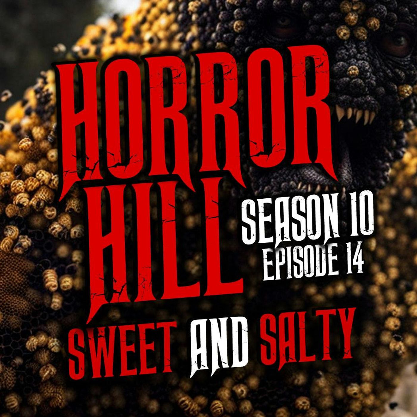 S10 Ep14: S10E14 - “Sweet and Salty" - Horror Hill