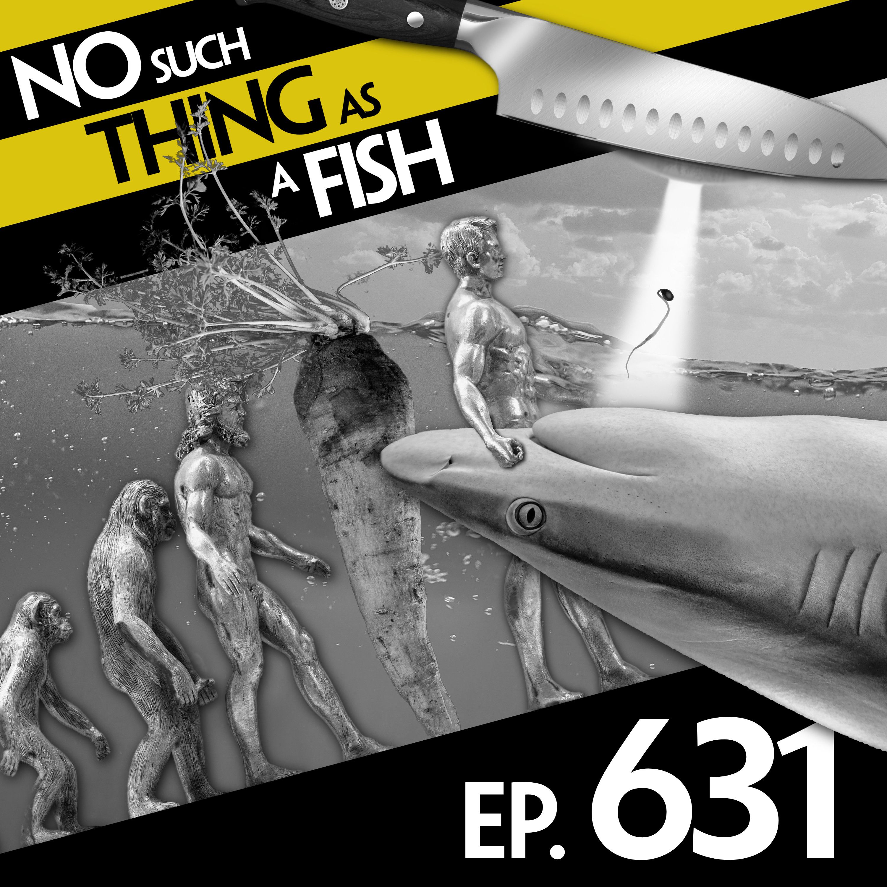 No Such Thing As A Second-Placed Helmet artwork